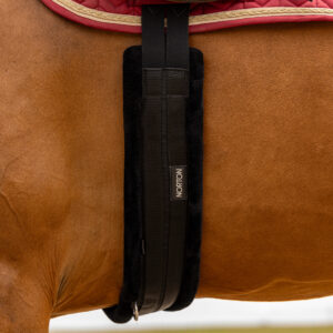 Elastic belt NORTON - Smooth