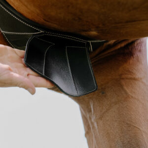 NORTON - Magnet - Anatomical Girth