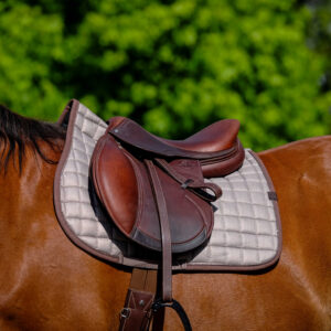 EQUITHÈME Saddlebag – Chic