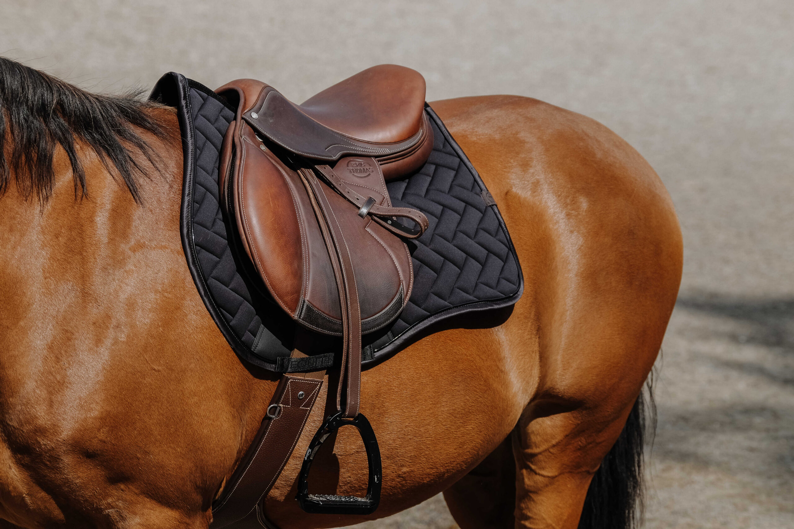 EQUITHÈME Saddle pad - Impulse