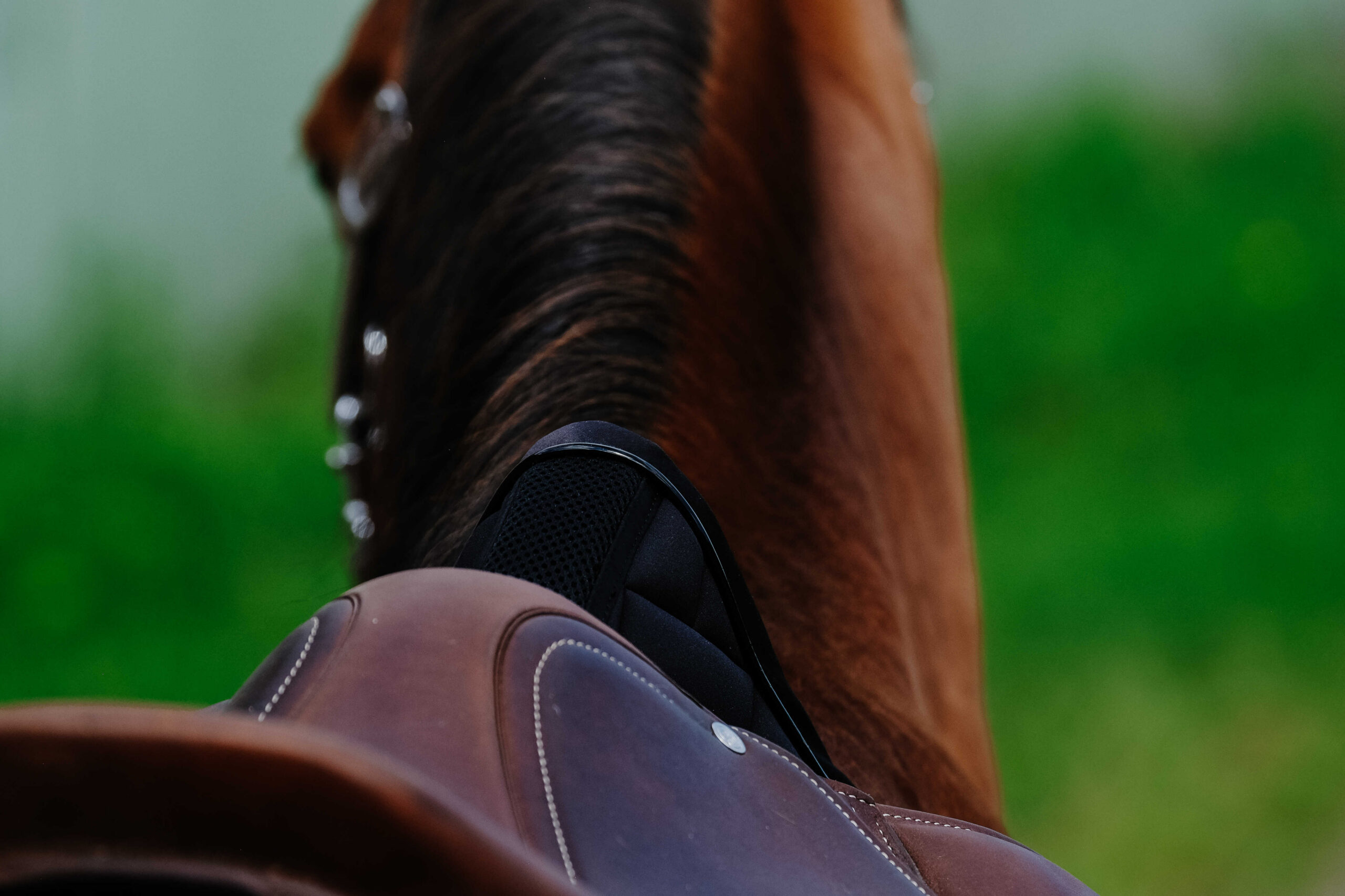 EQUITHÈME Saddle pad - Impulse - Image 4