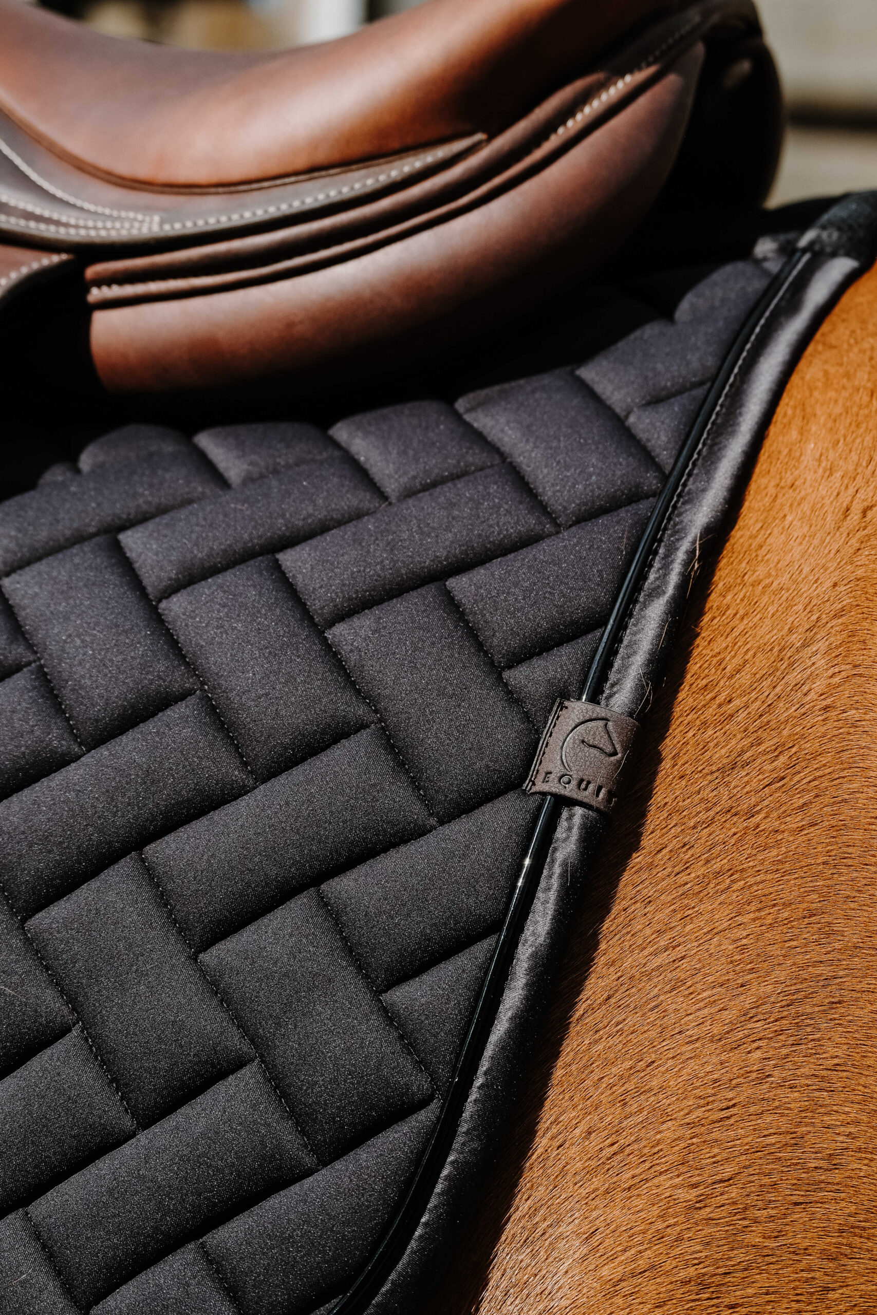 EQUITHÈME Saddle pad - Impulse - Image 6