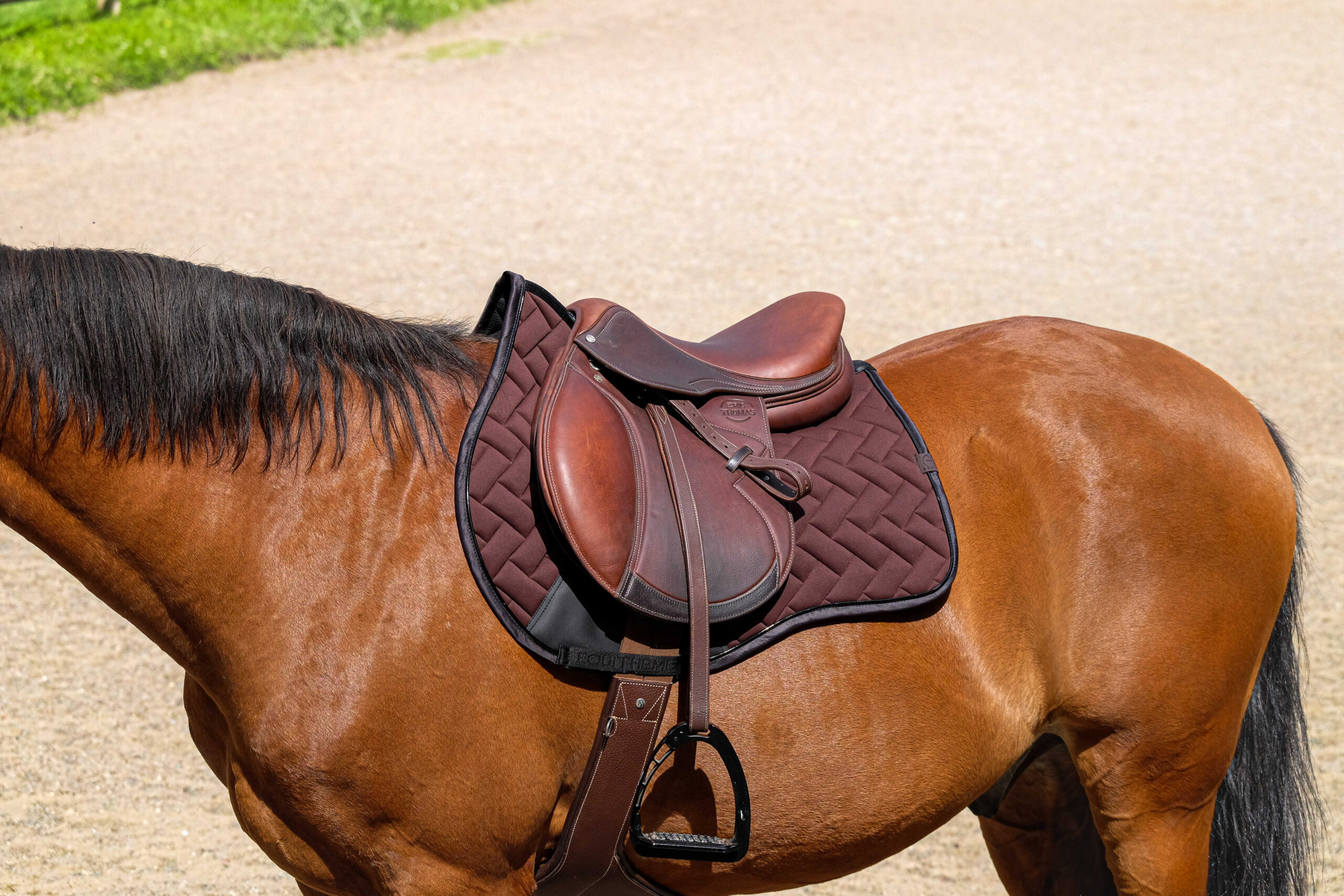 EQUITHÈME Saddle pad - Impulse - Image 8