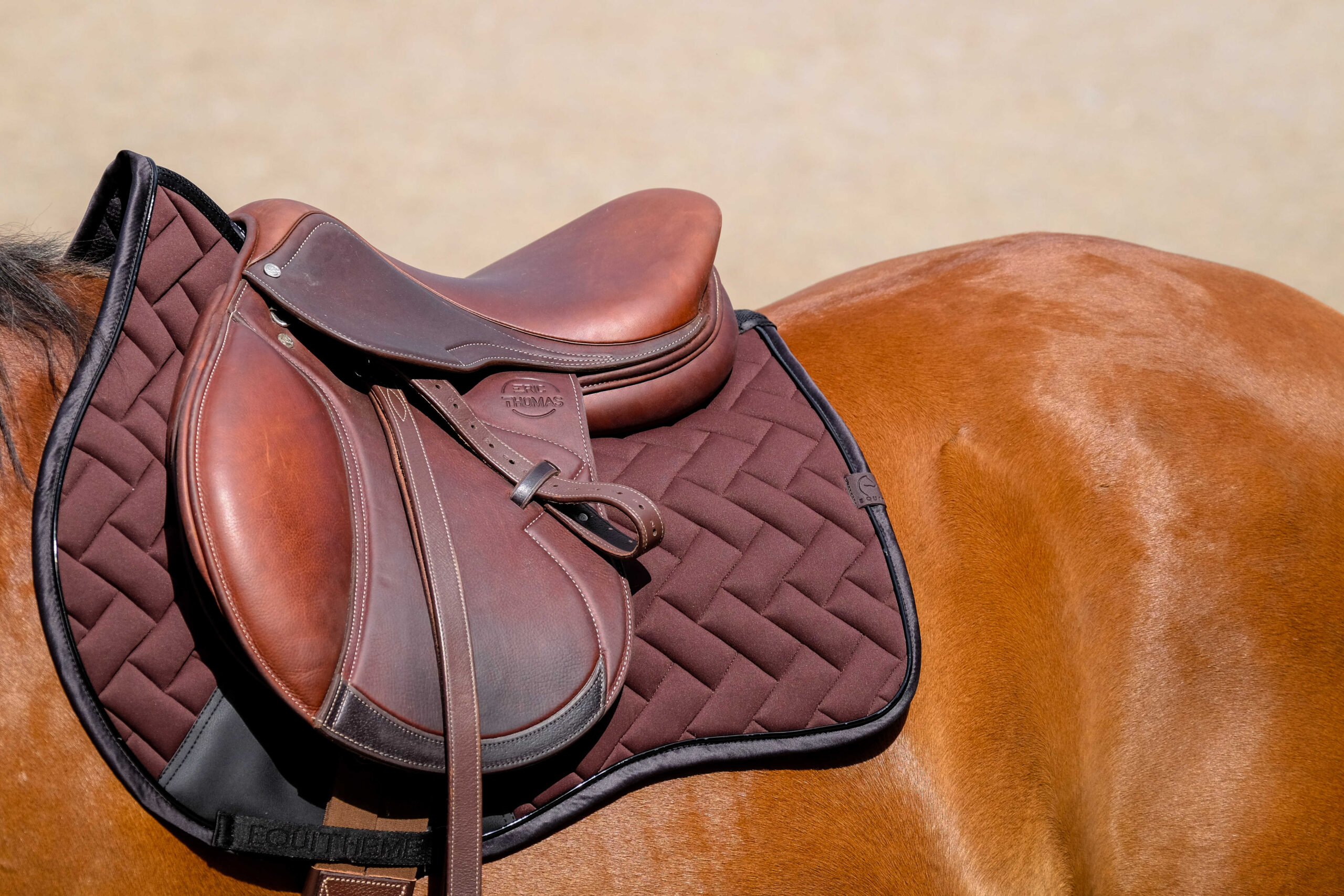 EQUITHÈME Saddle pad - Impulse - Image 9