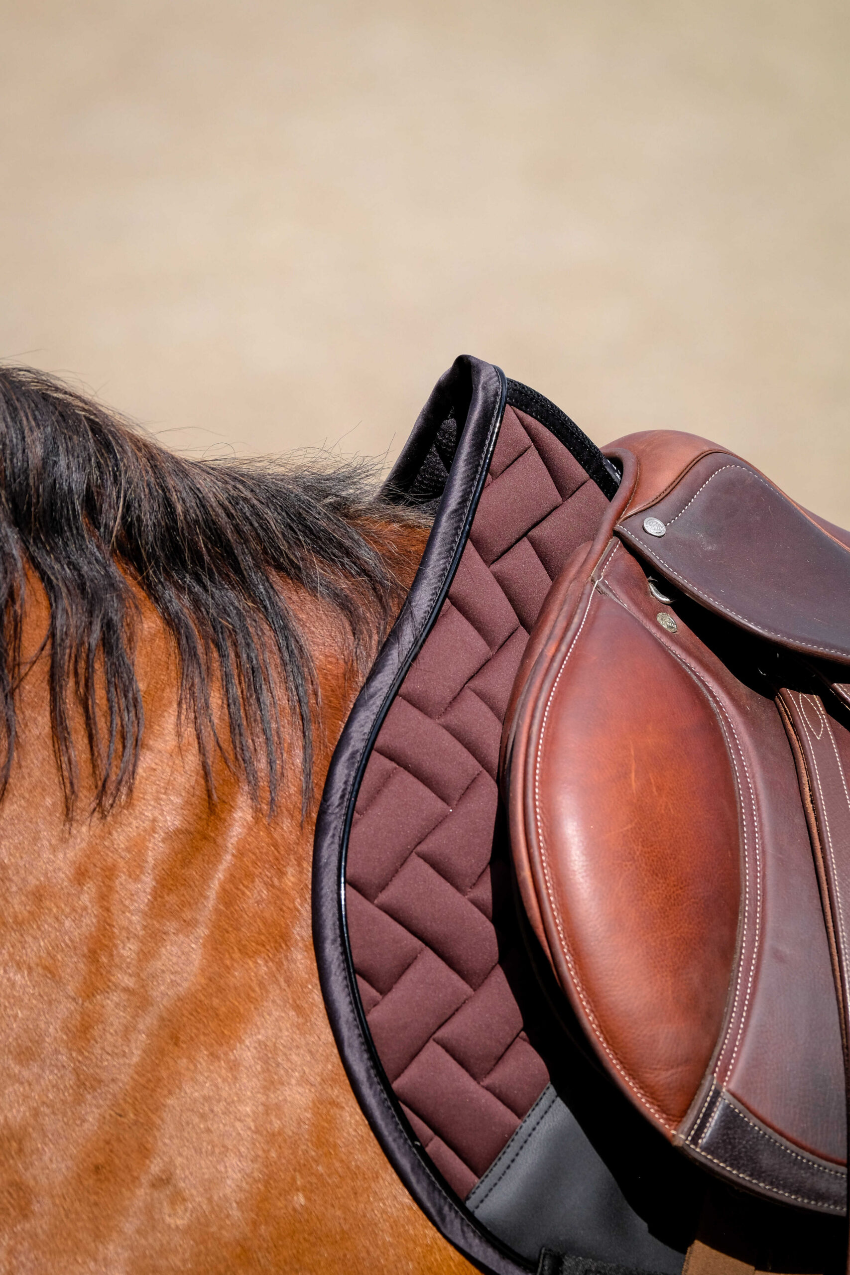 EQUITHÈME Saddle pad - Impulse - Image 10