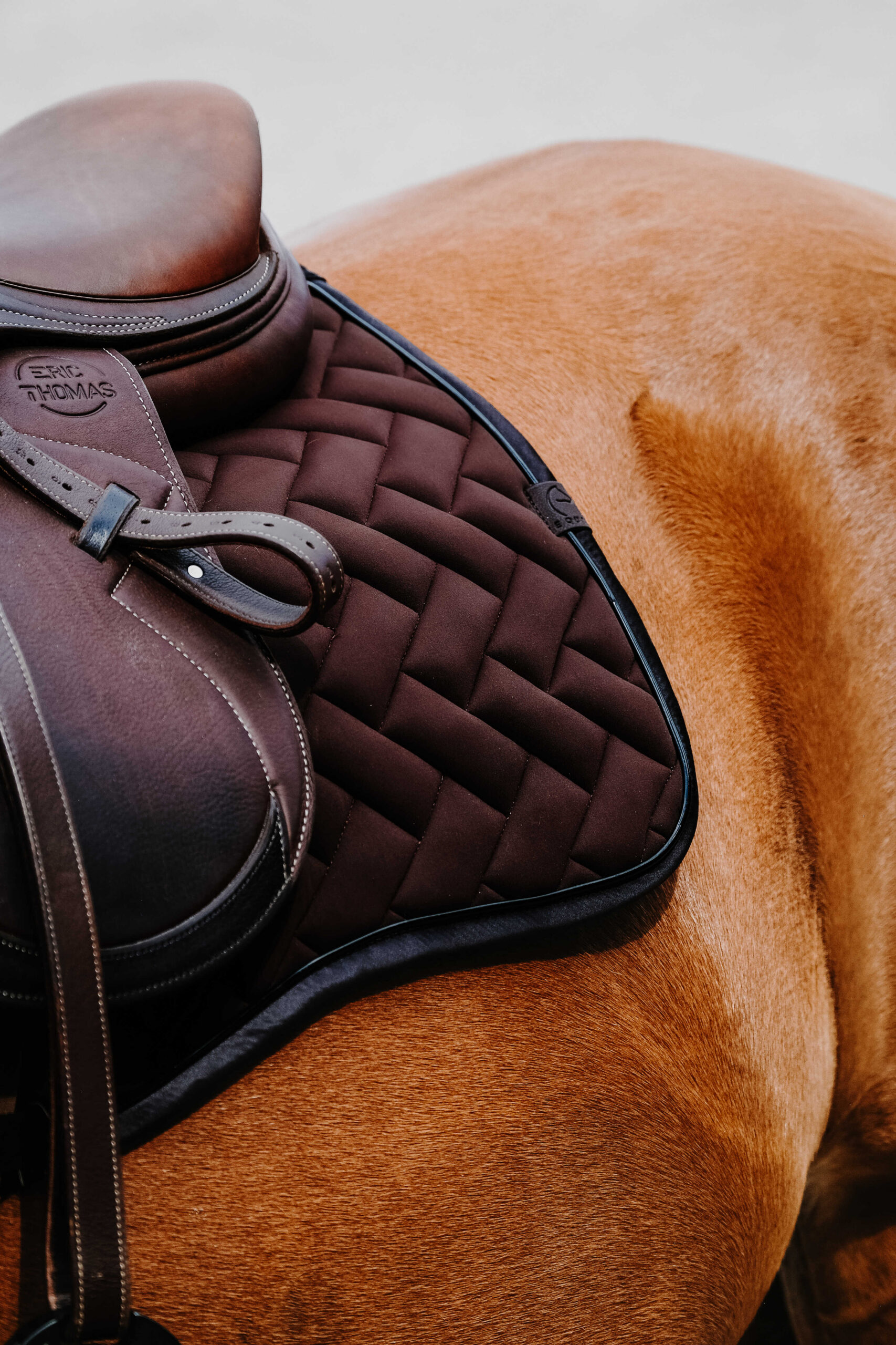 EQUITHÈME Saddle pad - Impulse - Image 11