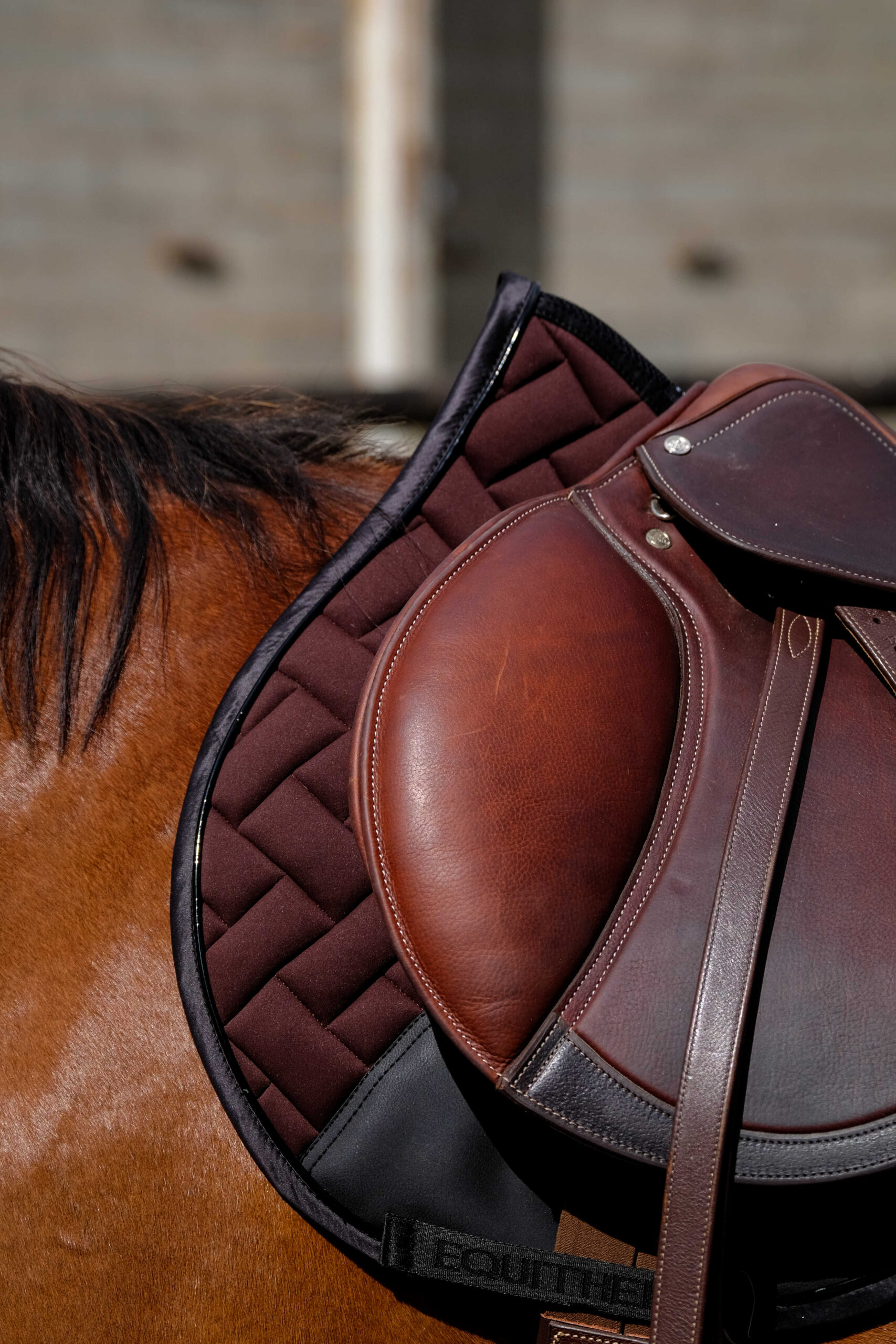 EQUITHÈME Saddle pad - Impulse - Image 13