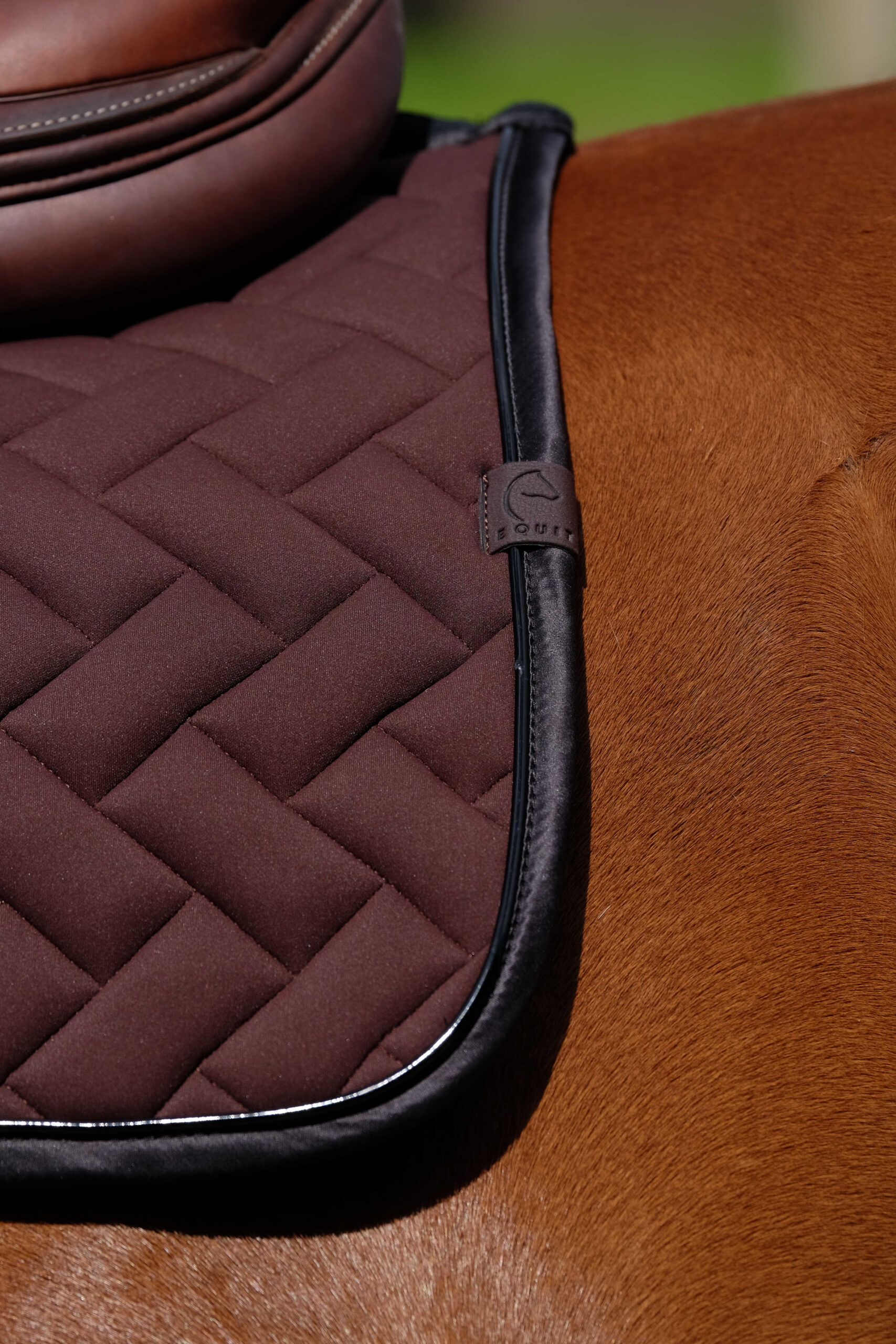 EQUITHÈME Saddle pad - Impulse - Image 14