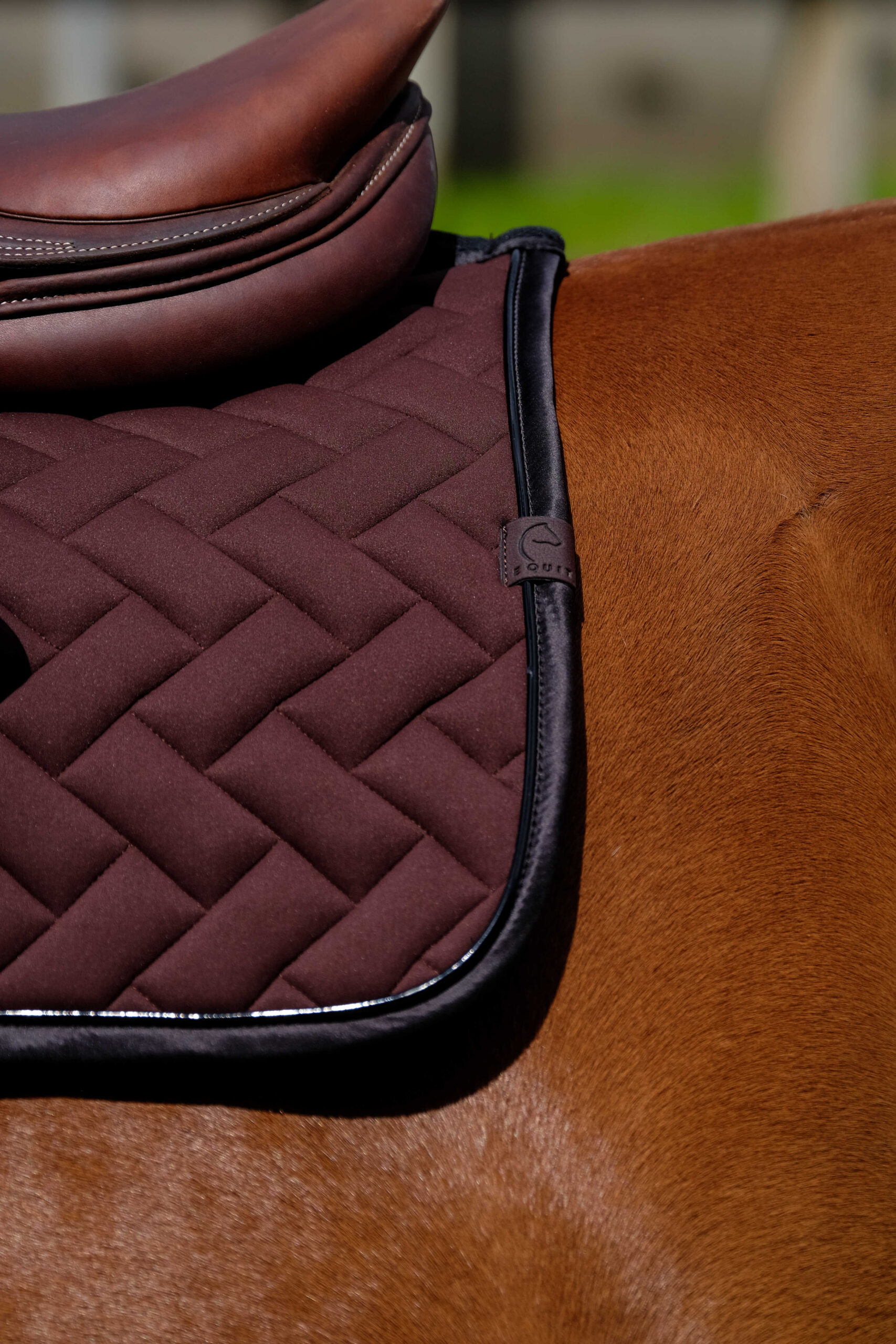 EQUITHÈME Saddle pad - Impulse - Image 15