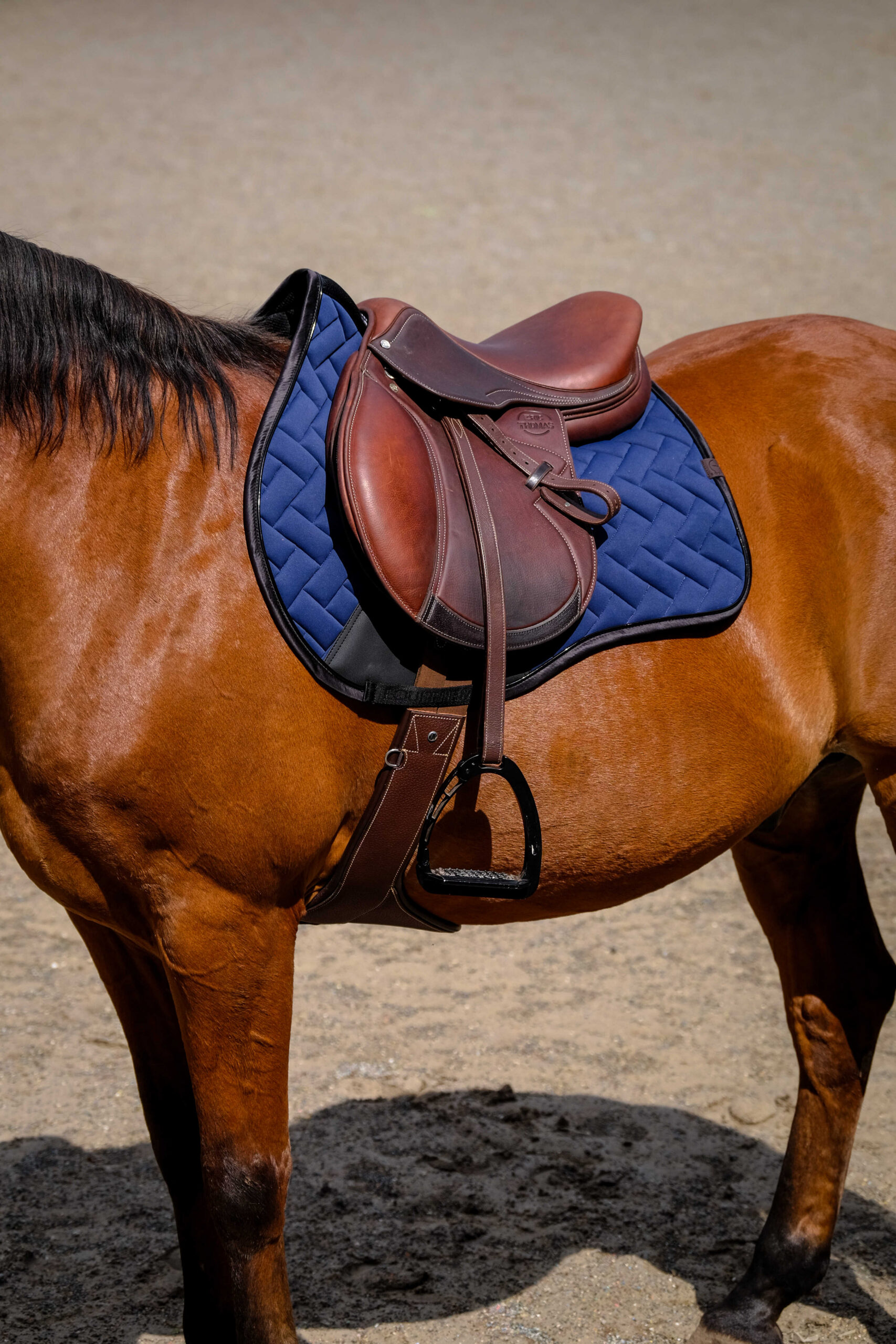 EQUITHÈME Saddle pad - Impulse - Image 18