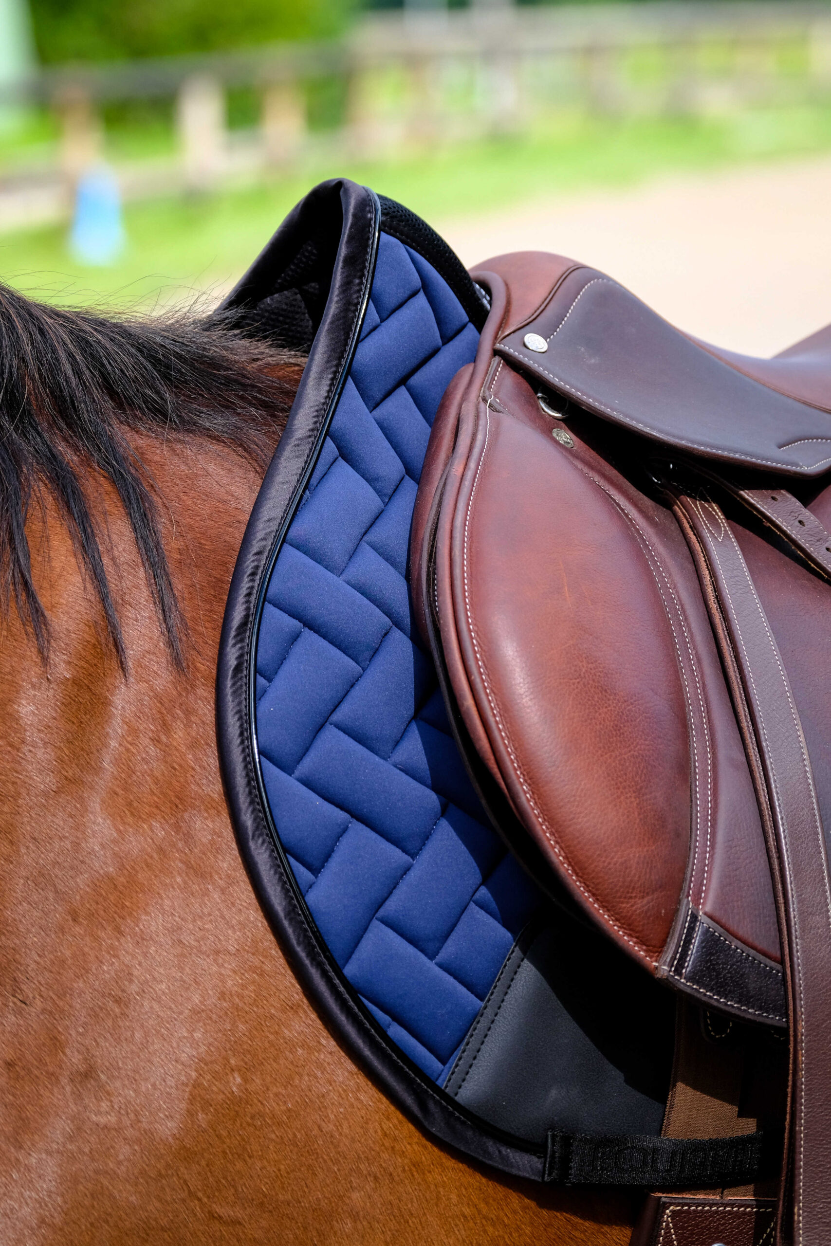 EQUITHÈME Saddle pad - Impulse - Image 19