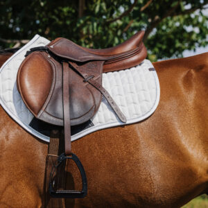 EQUITHÈME Saddle pad - Eclat