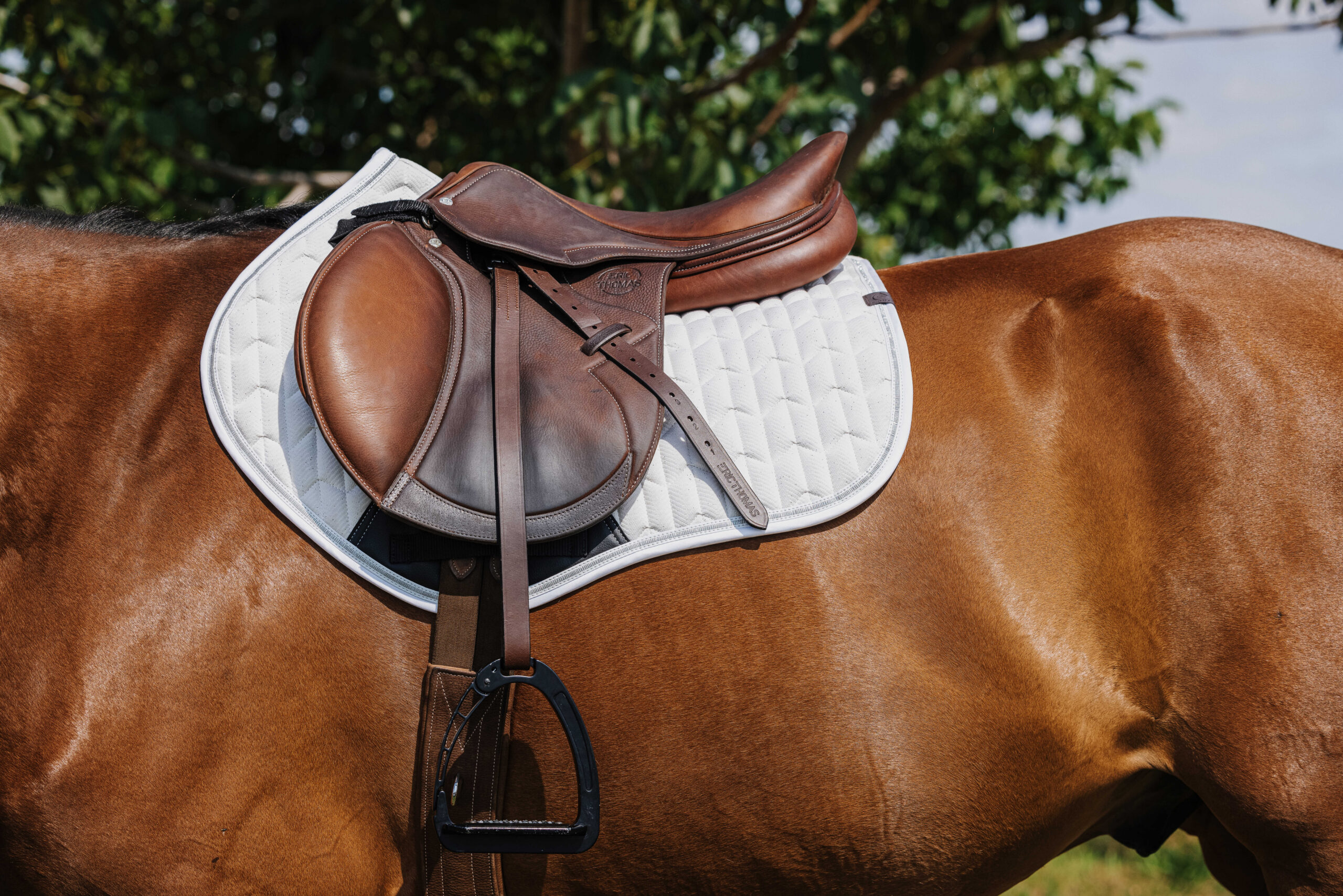 EQUITHÈME Saddle pad - Eclat