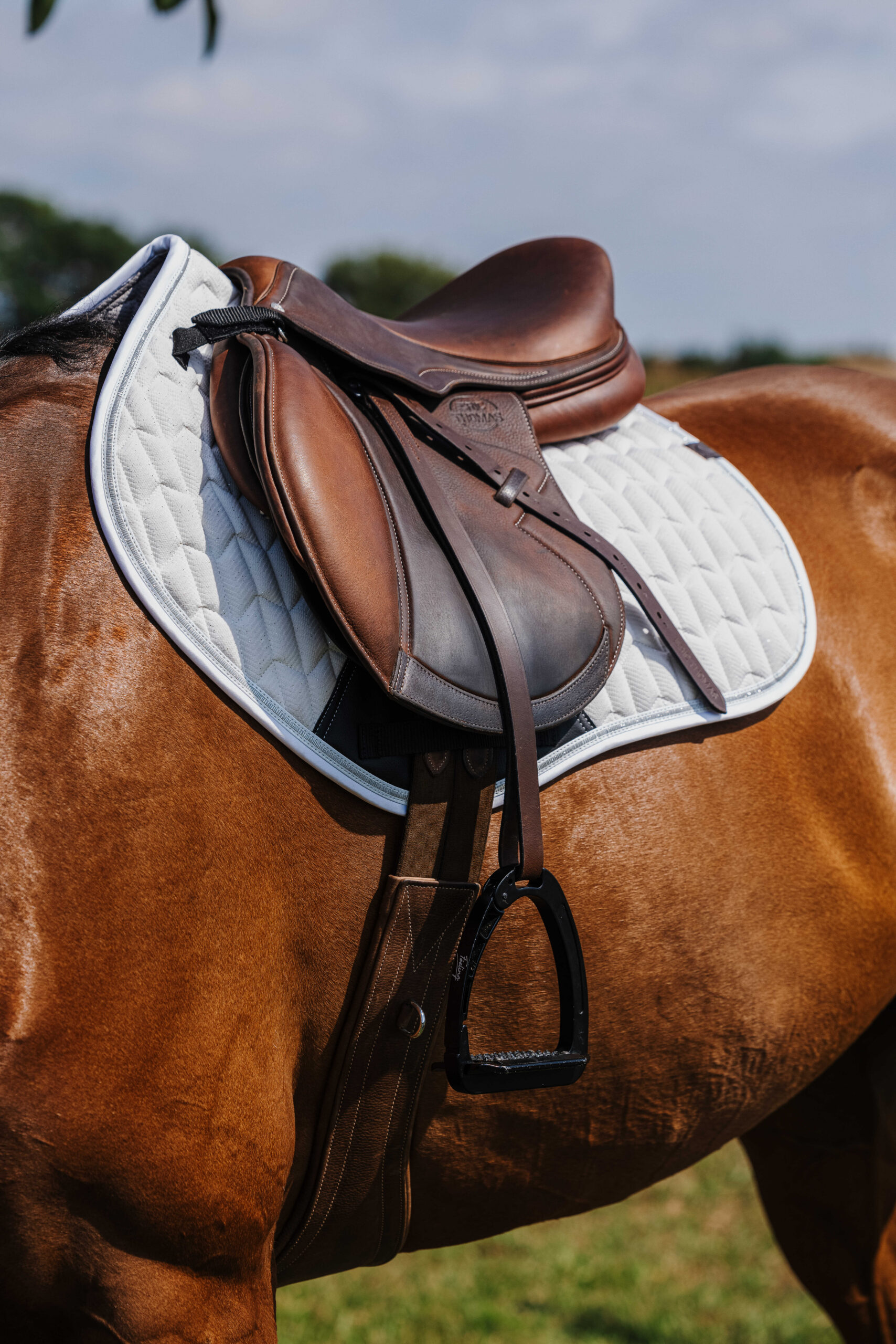 EQUITHÈME Saddle pad - Eclat - Image 2