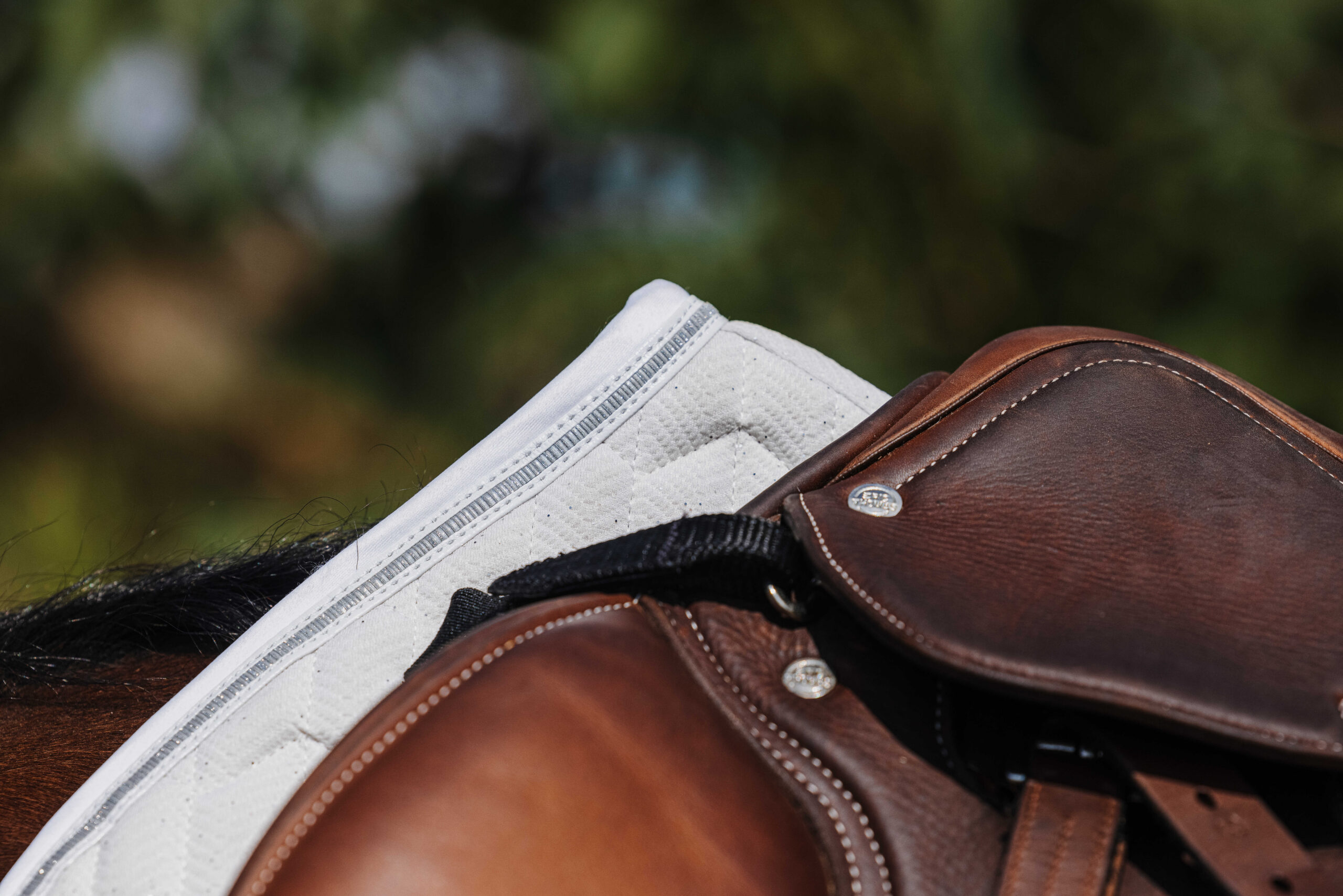 EQUITHÈME Saddle pad - Eclat - Image 3