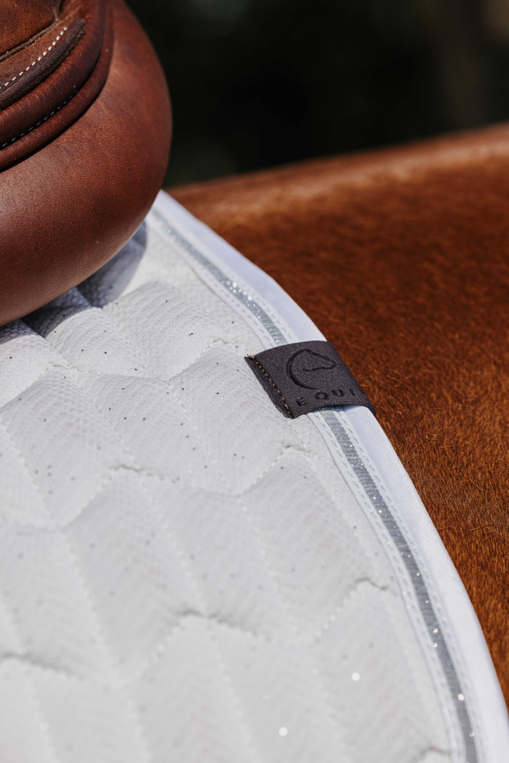 EQUITHÈME Saddle pad - Eclat - Image 4