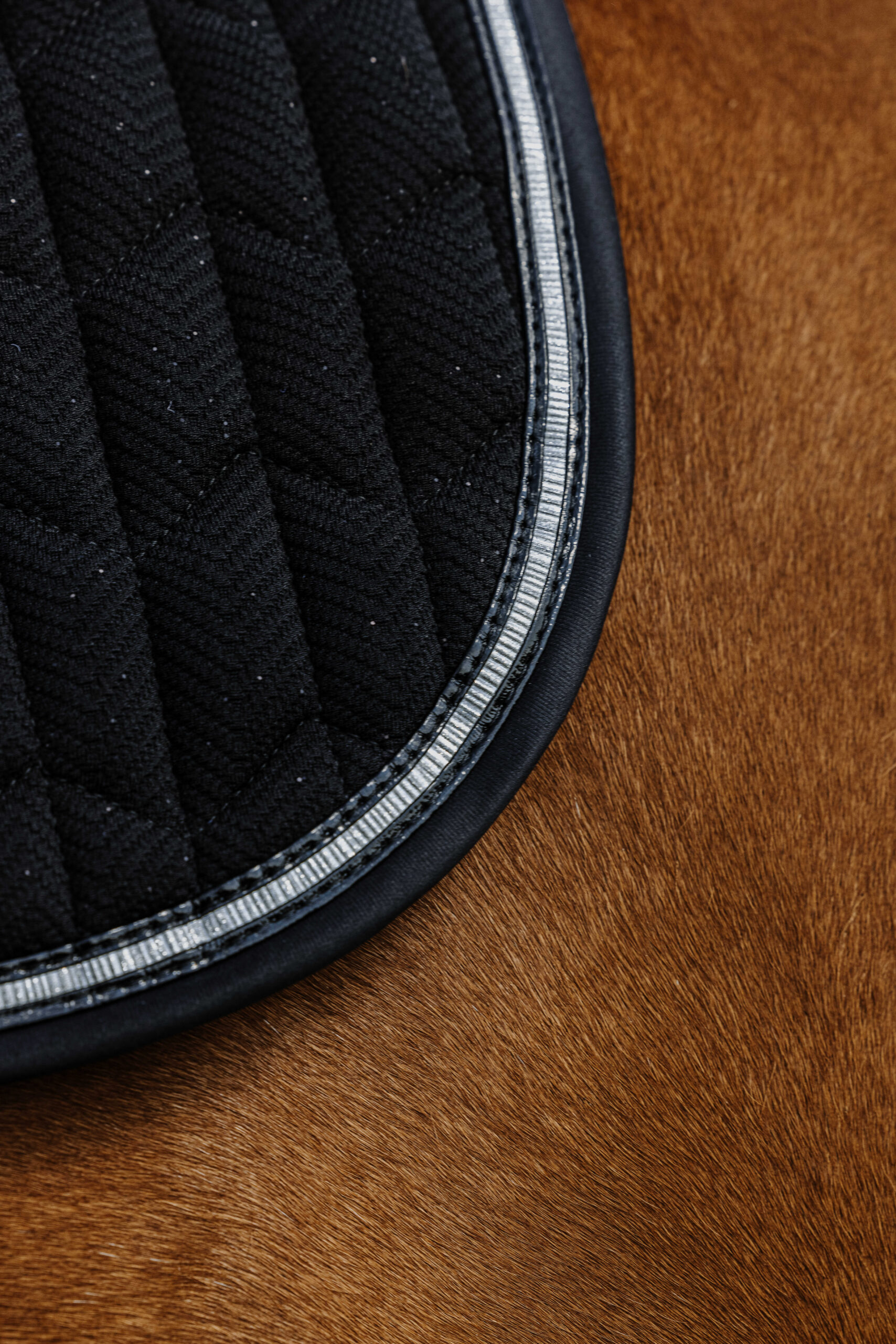 EQUITHÈME Saddle pad - Eclat - Image 9