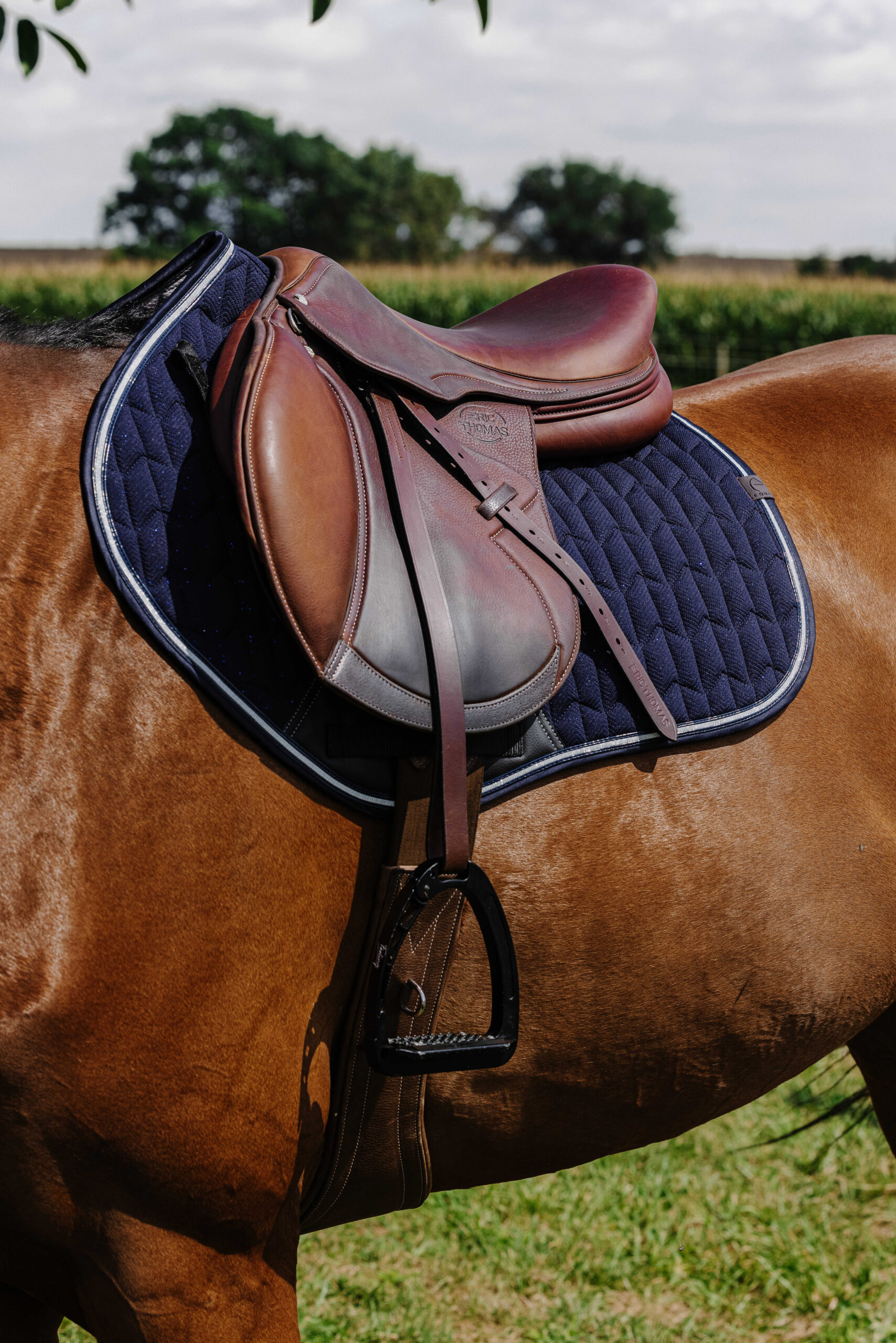 EQUITHÈME Saddle pad - Eclat - Image 13