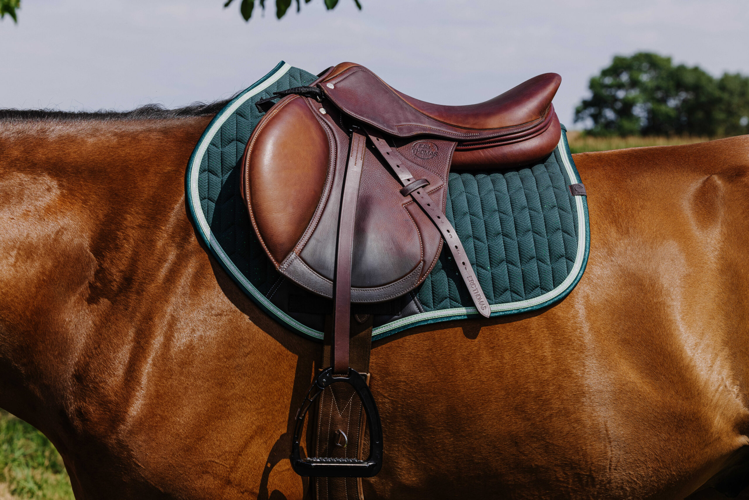 EQUITHÈME Saddle pad - Eclat - Image 16