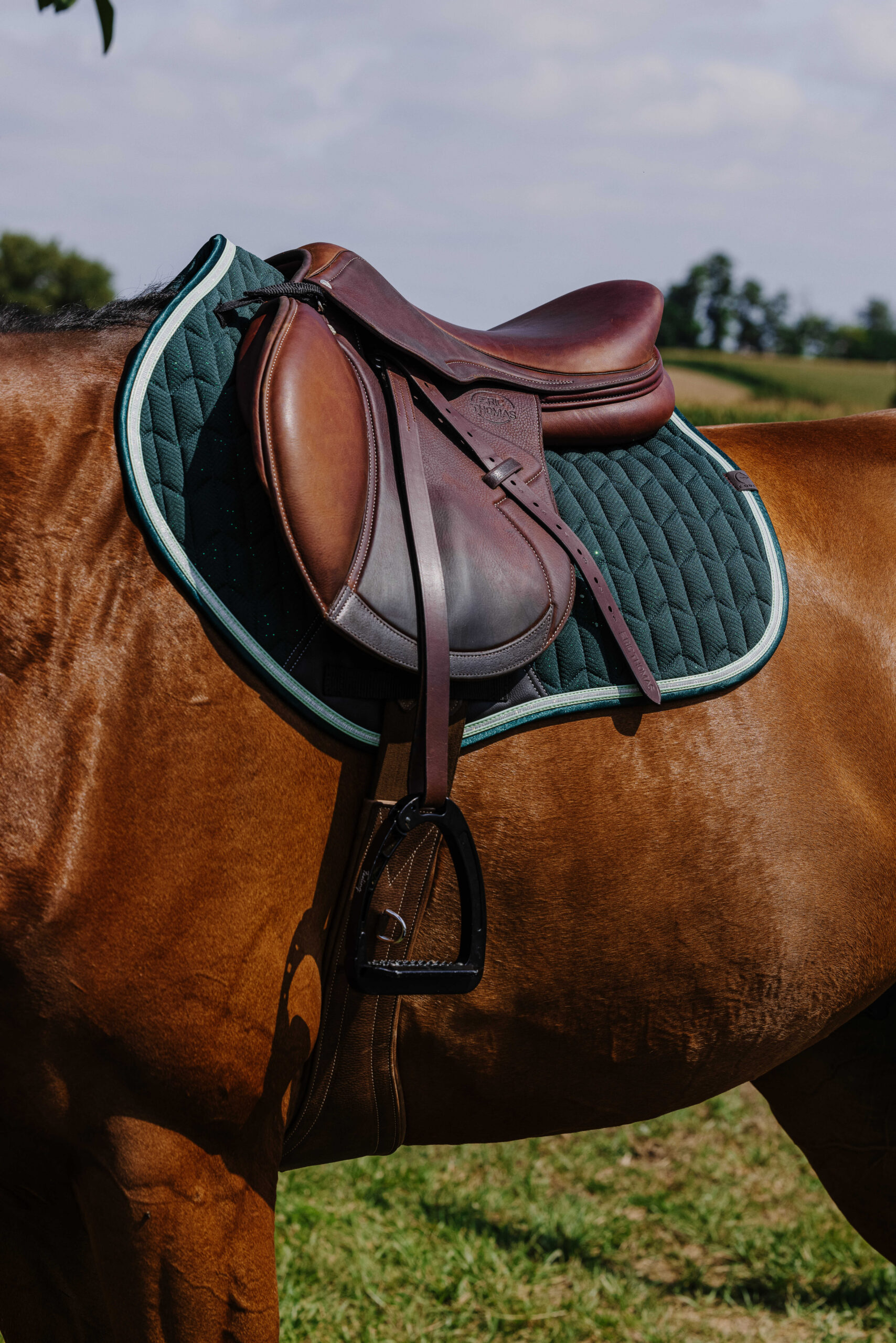 EQUITHÈME Saddle pad - Eclat - Image 17
