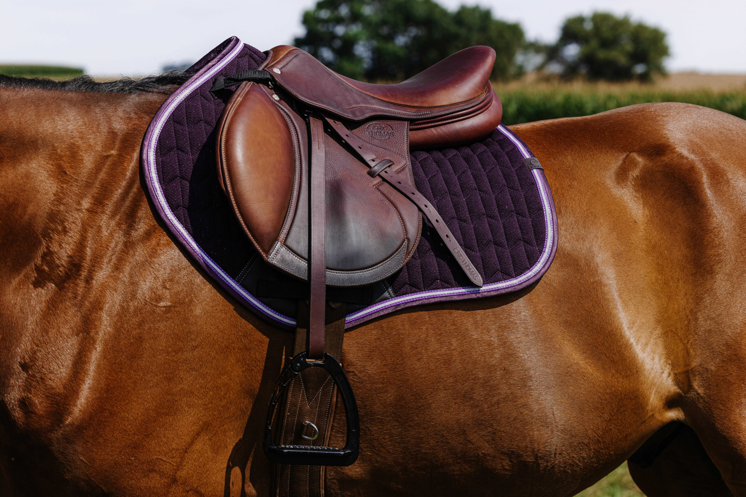 EQUITHÈME Saddle pad - Eclat - Image 20