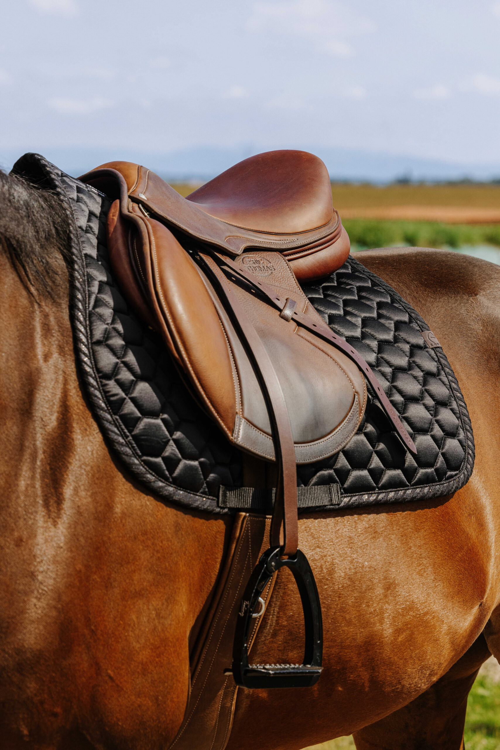 EQUITHÈME Saddle pad - Pretty - Image 2