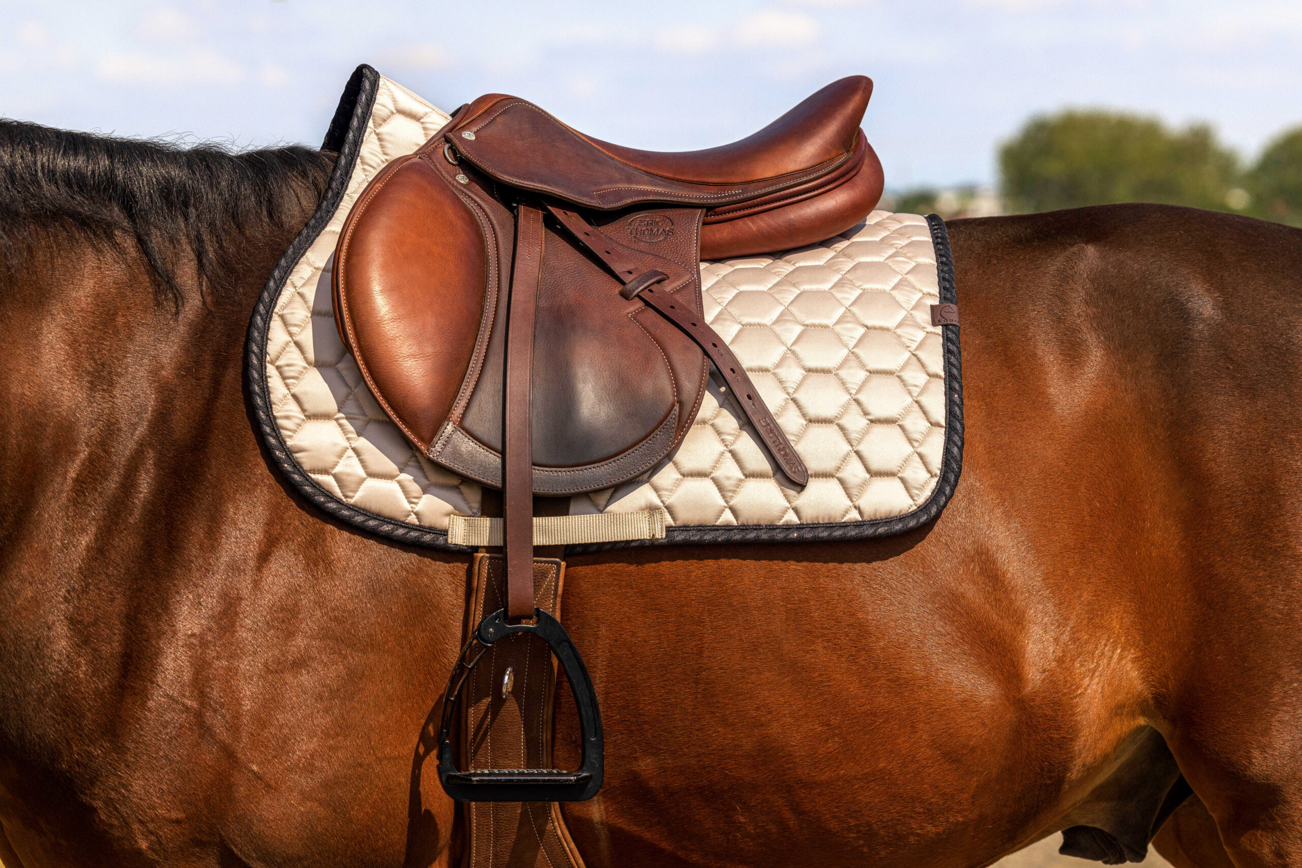EQUITHÈME Saddle pad - Pretty - Image 5