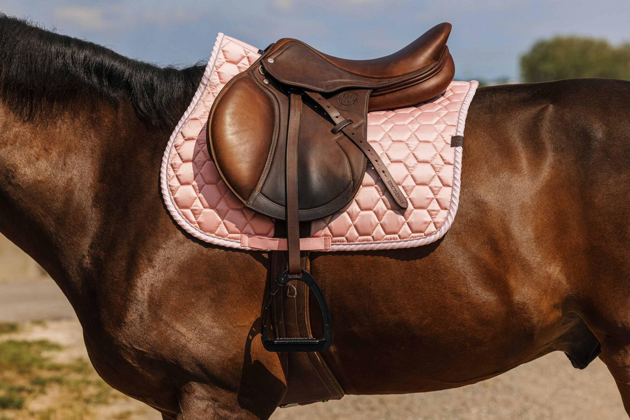 EQUITHÈME Saddle pad - Pretty - Image 9