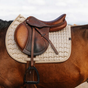 EQUITHÈME Saddle pad - Excellence