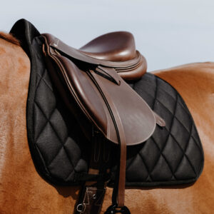 RIDING WORLD Saddle pad - School