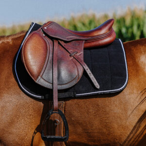RIDING WORLD Saddle pad – Corduroy