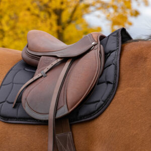 EQUITHÈME Saddlebag - Satin