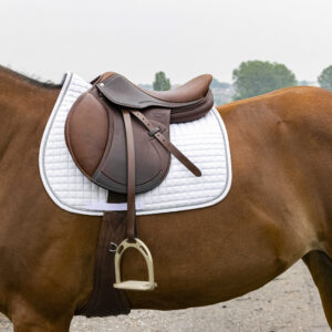 RIDING WORLD Saddle pad - Girly