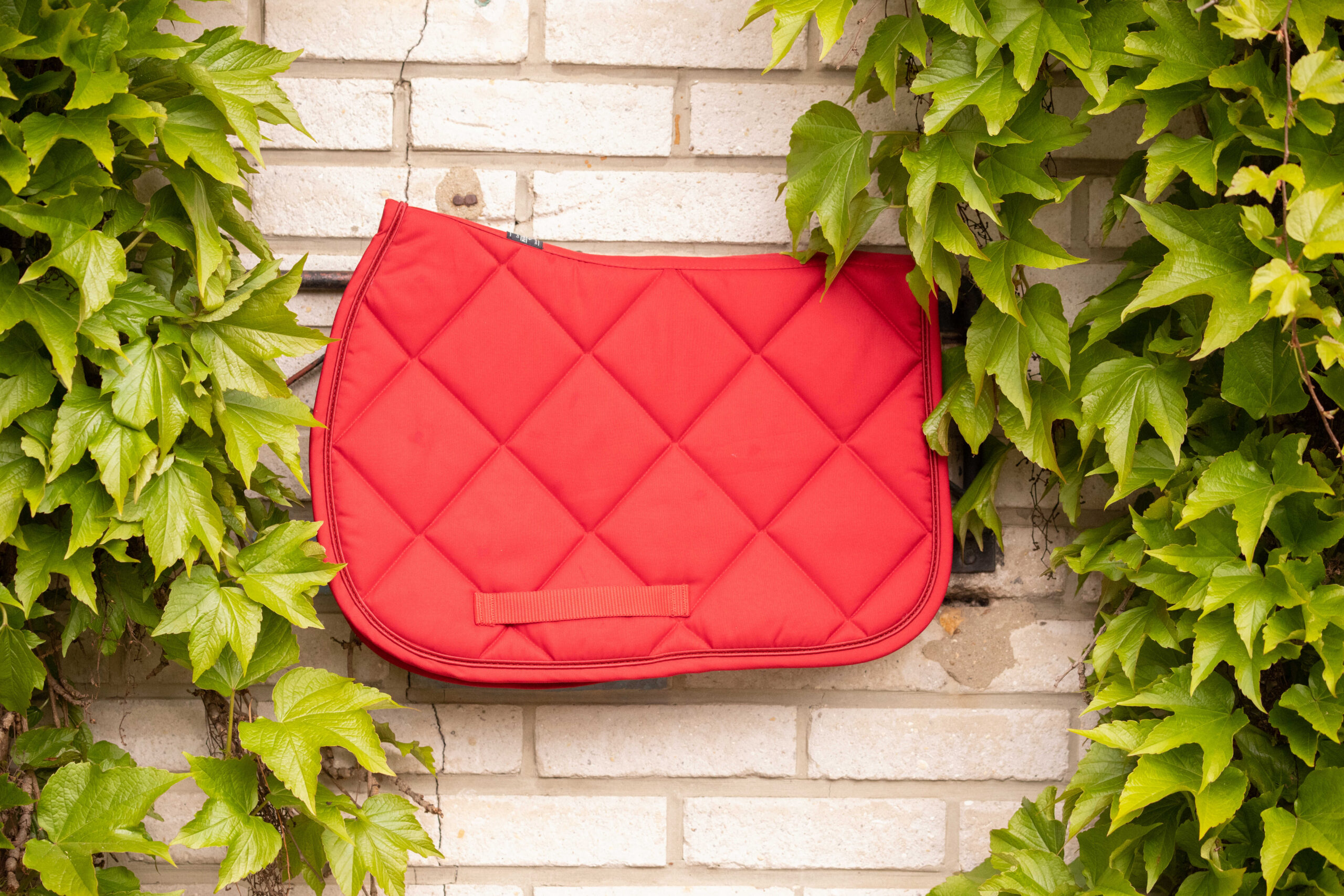 PADDOCK "Prems" Saddle pad - Image 2