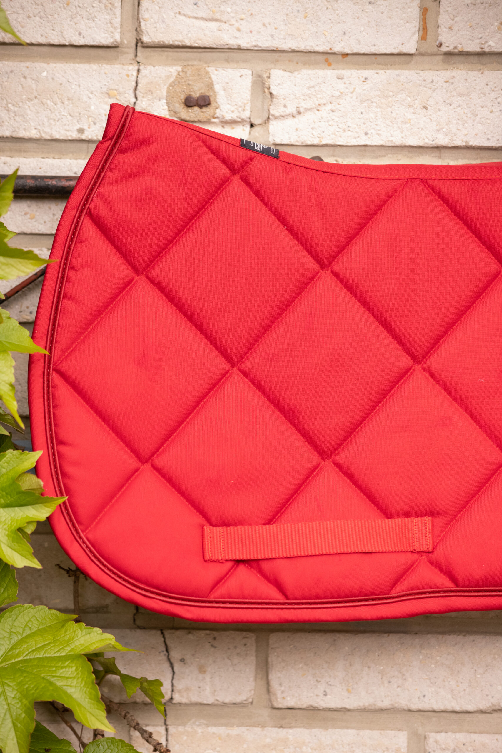 PADDOCK "Prems" Saddle pad - Image 5