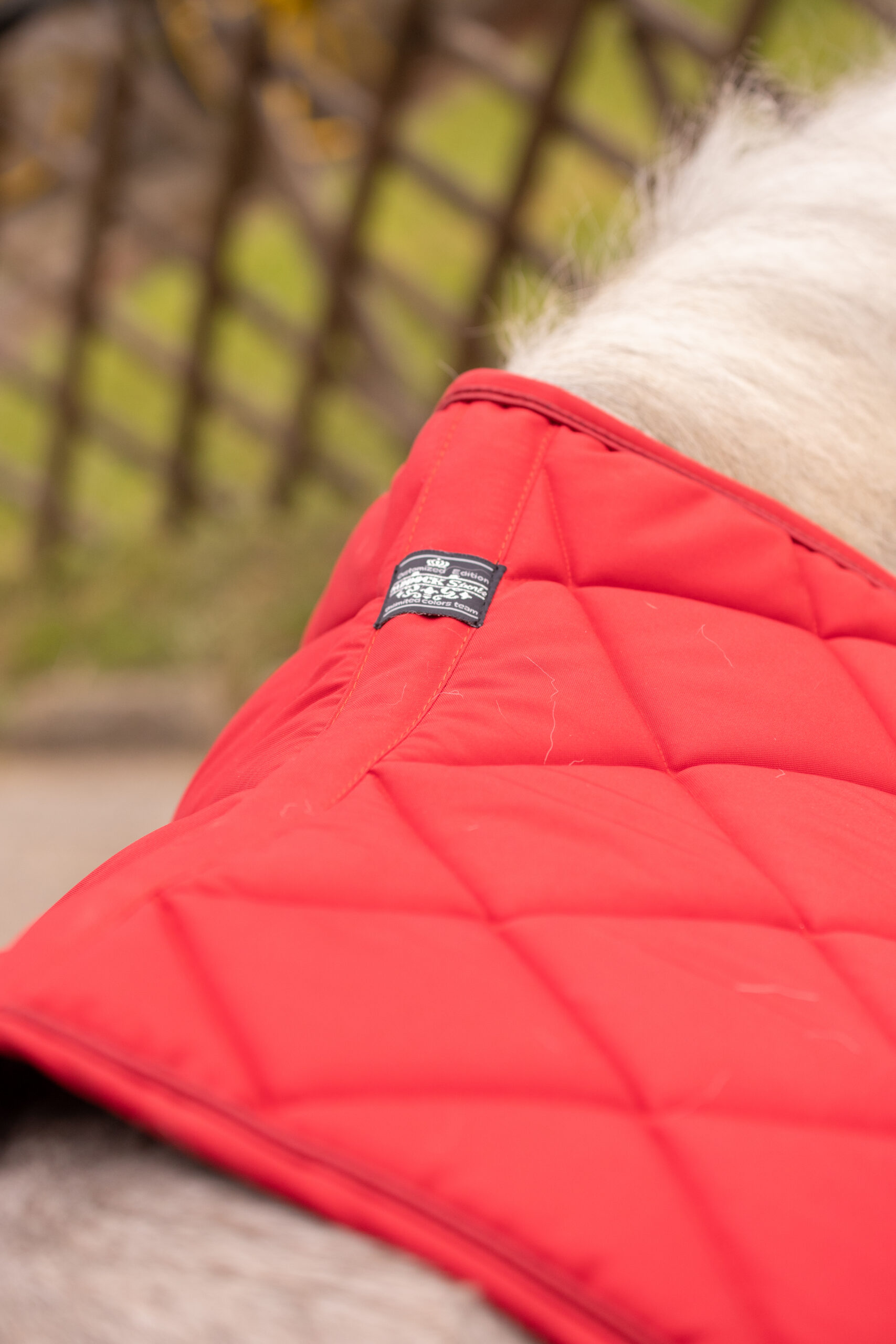 PADDOCK "Prems" Saddle pad - Image 6