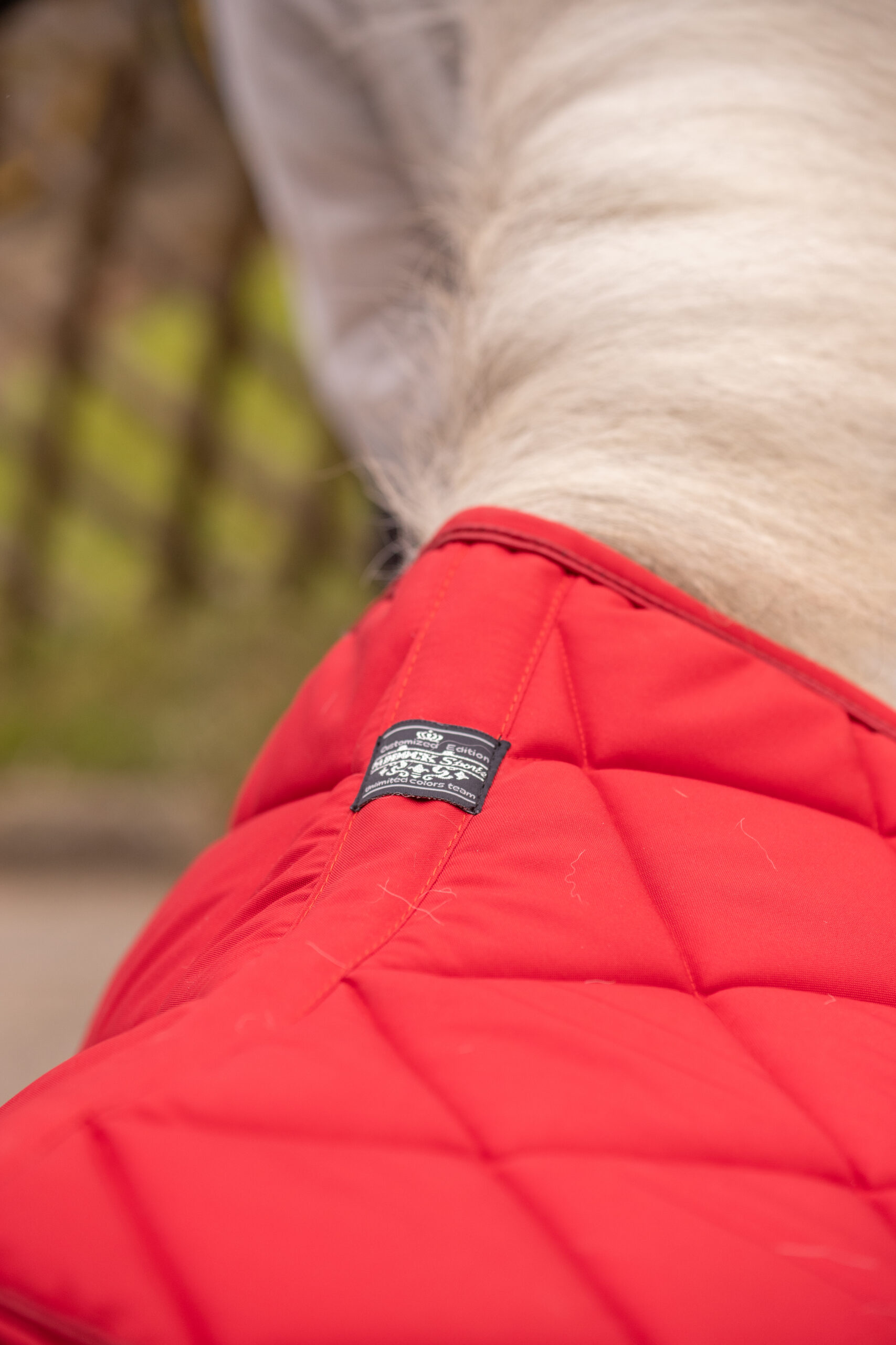 PADDOCK "Prems" Saddle pad - Image 7