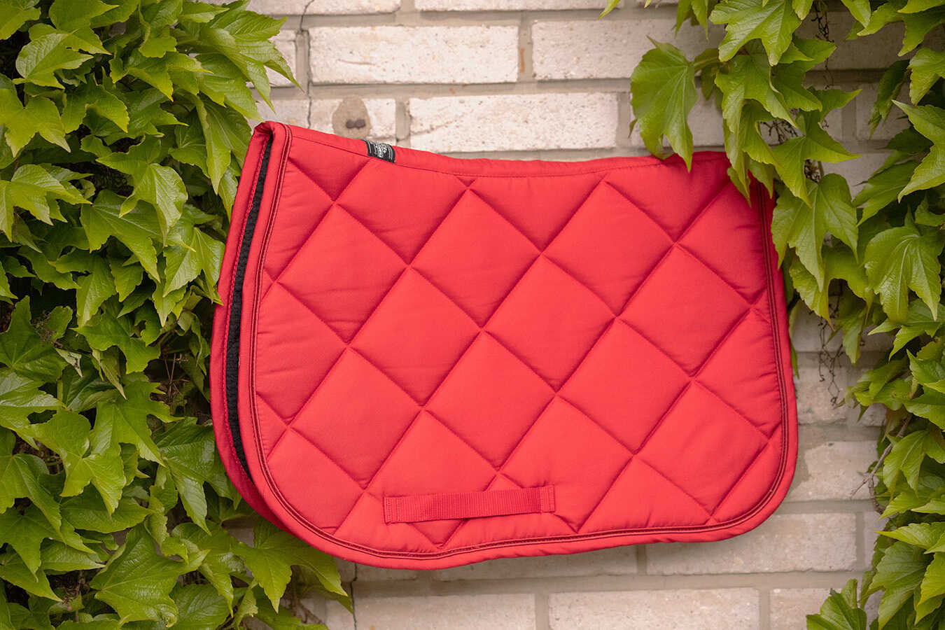 PADDOCK "Prems" Saddle pad - Image 18