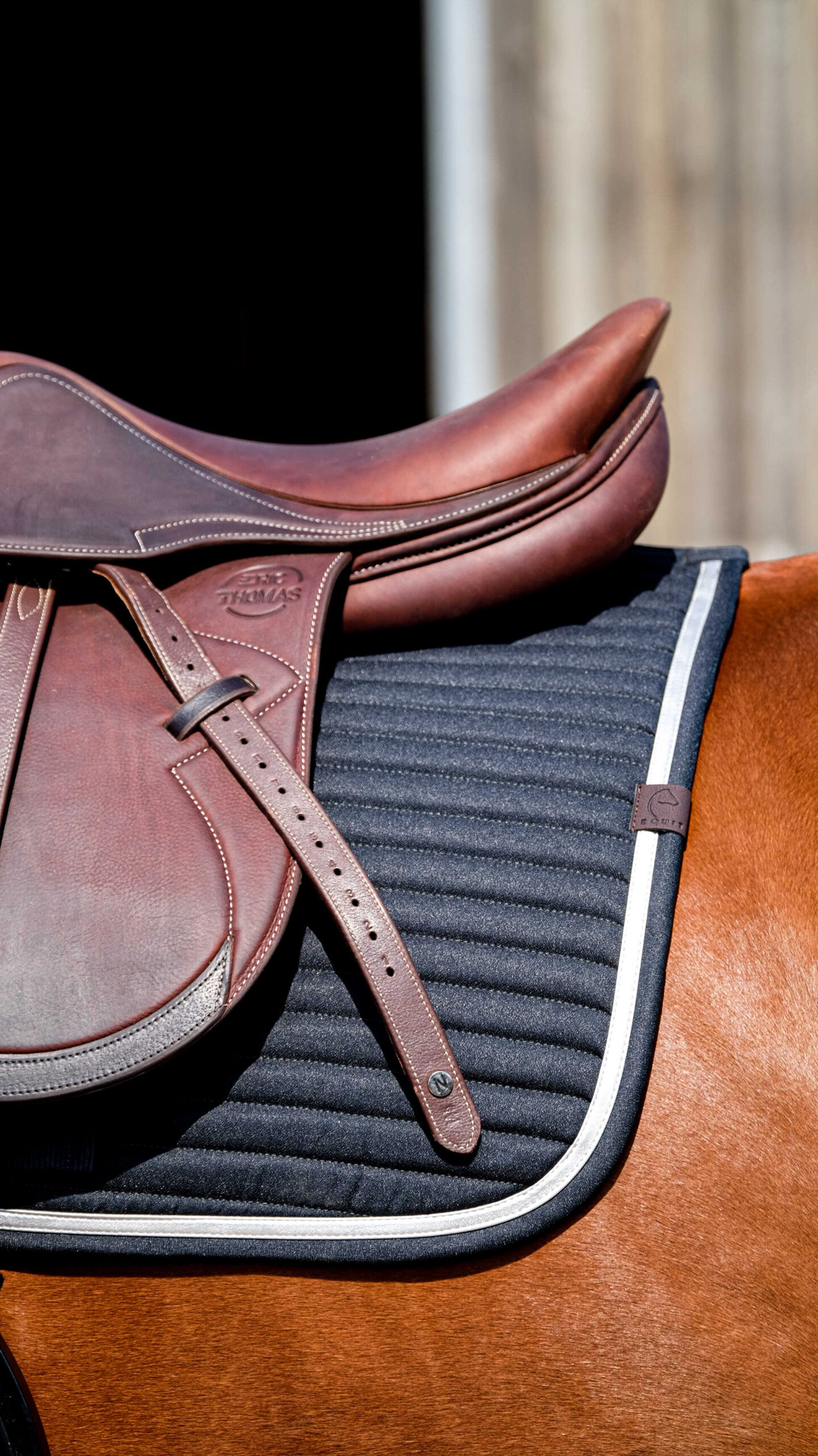 EQUITHEME Saddle pad - Spring - Image 2