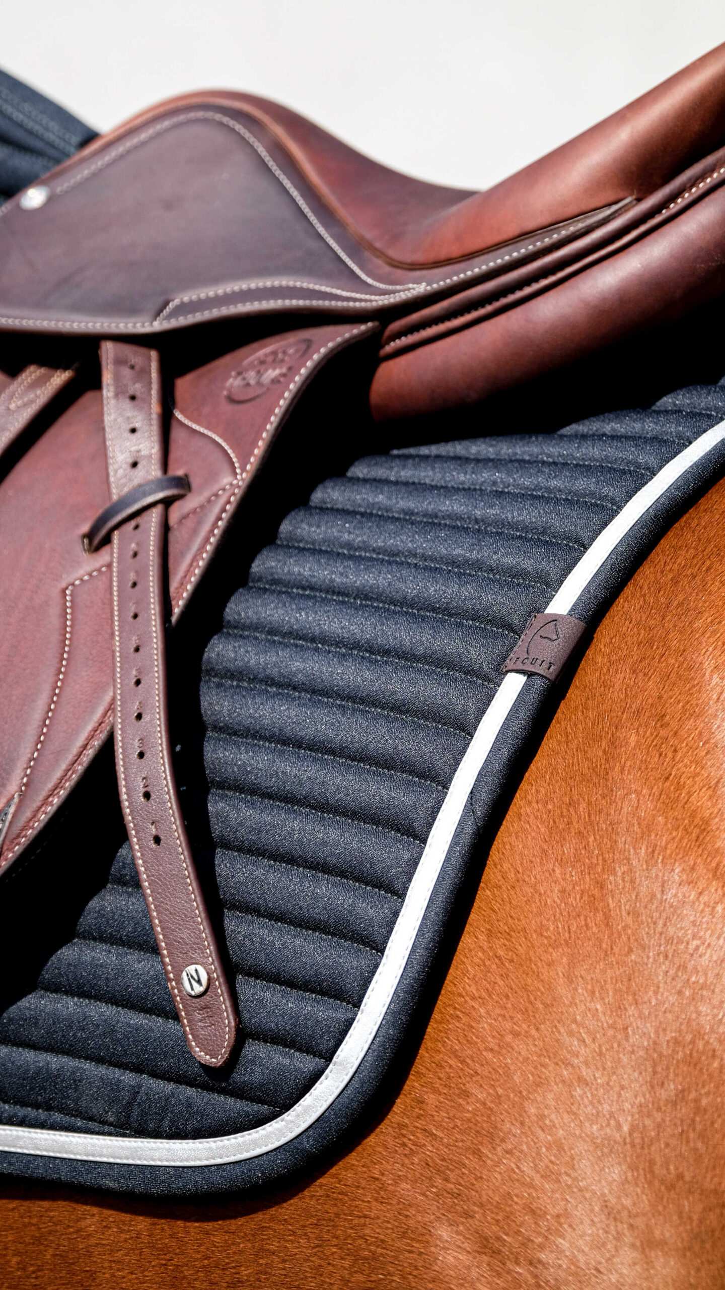 EQUITHEME Saddle pad - Spring - Image 3