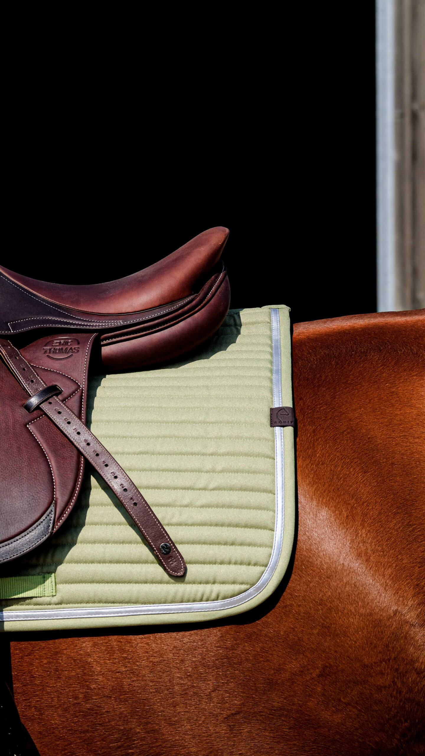 EQUITHEME Saddle pad - Spring - Image 5