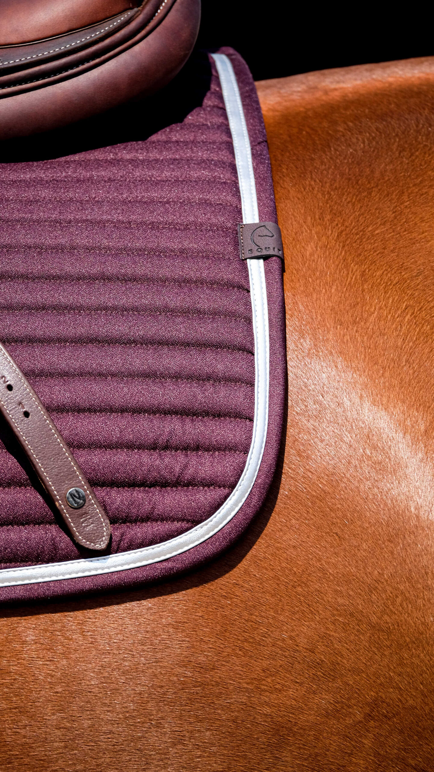 EQUITHEME Saddle pad - Spring - Image 10