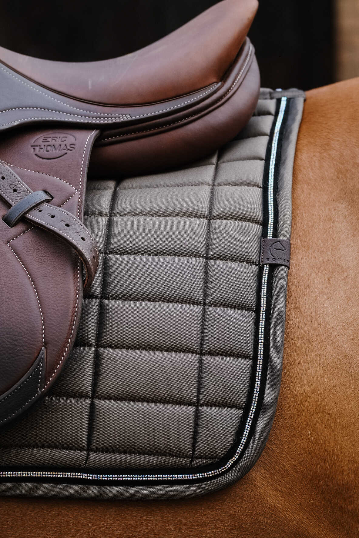 EQUITHEME Saddle pad - Domino