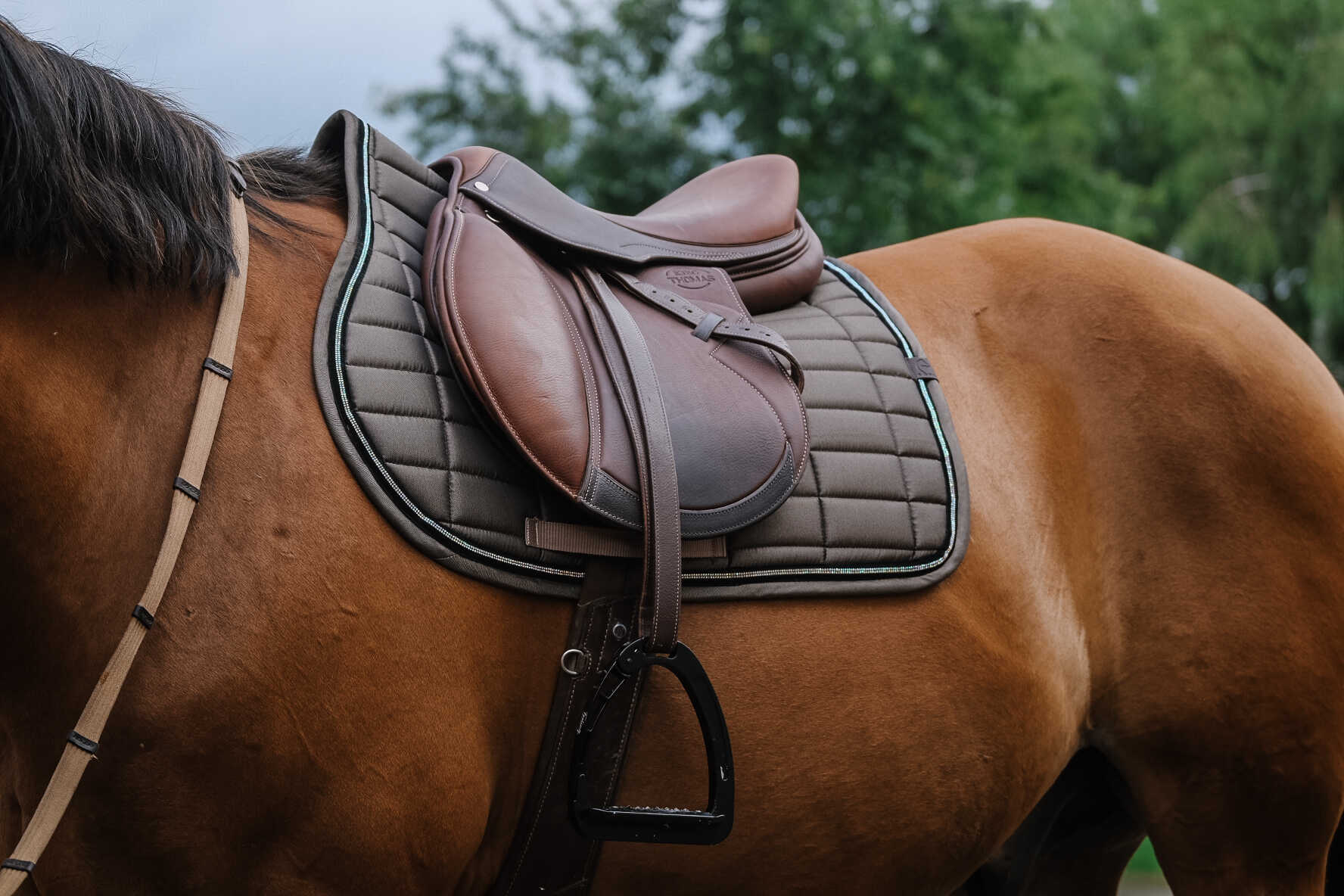 EQUITHEME Saddle pad - Domino - Image 3