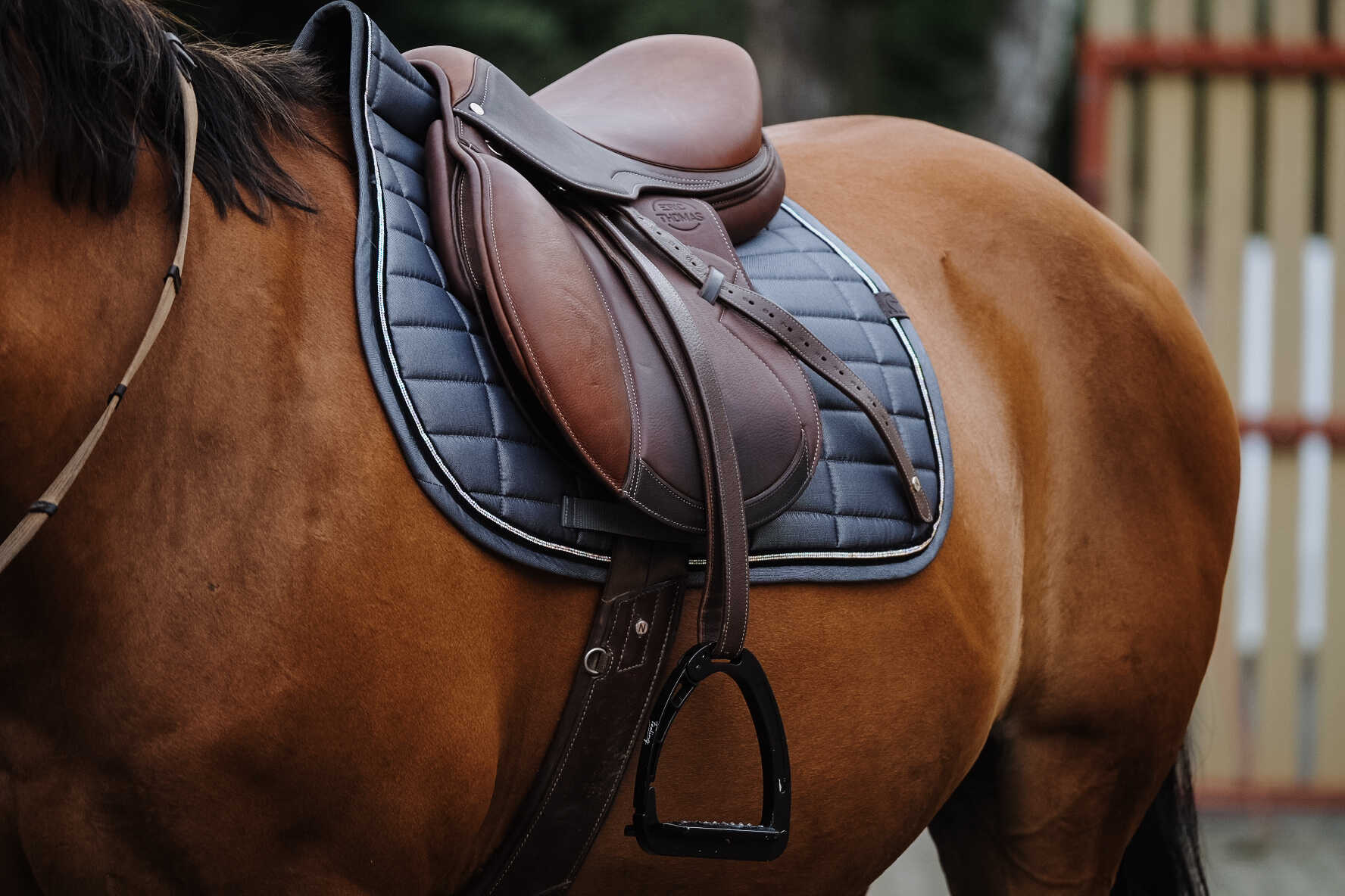 EQUITHEME Saddle pad - Domino - Image 8