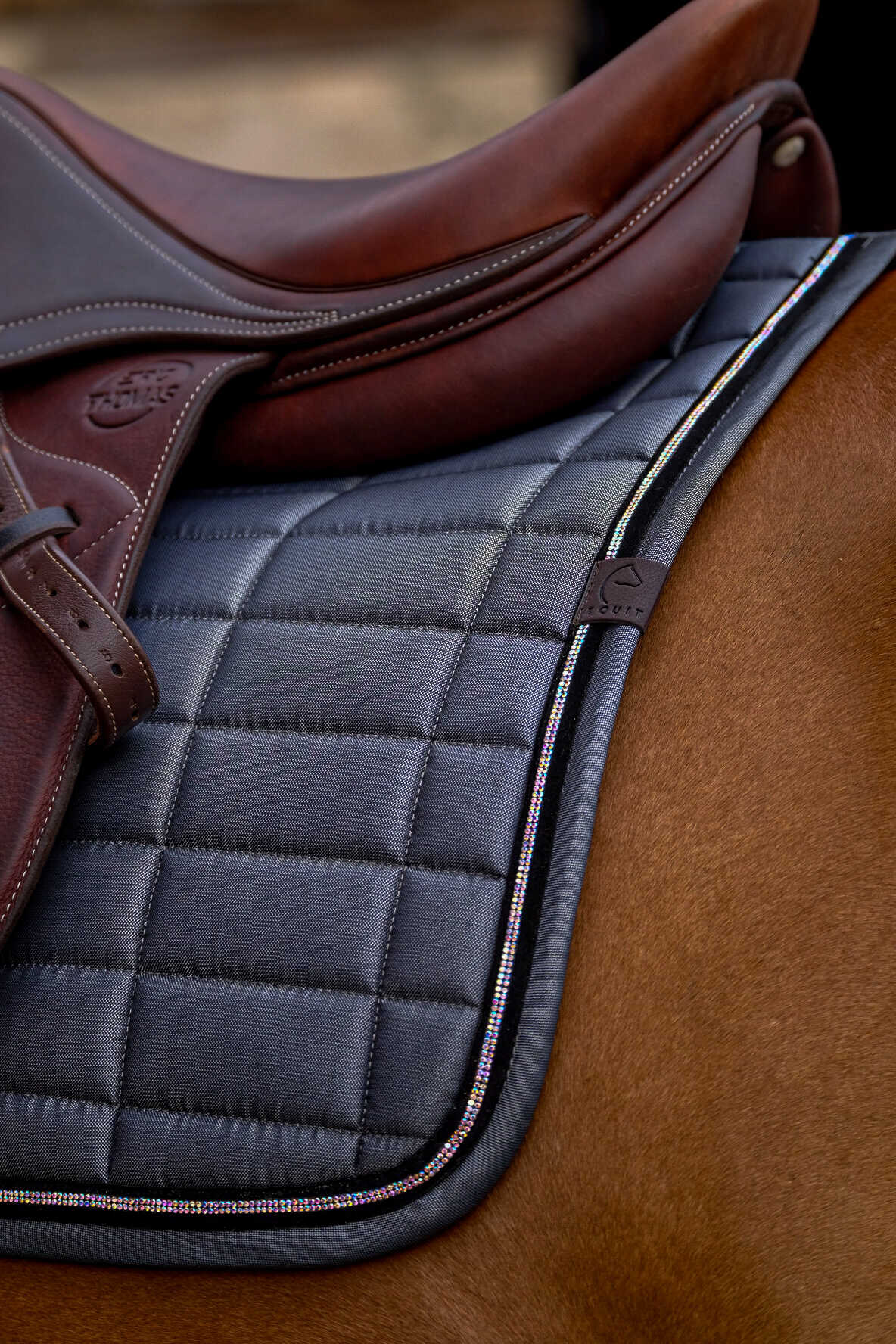 EQUITHEME Saddle pad - Domino - Image 10