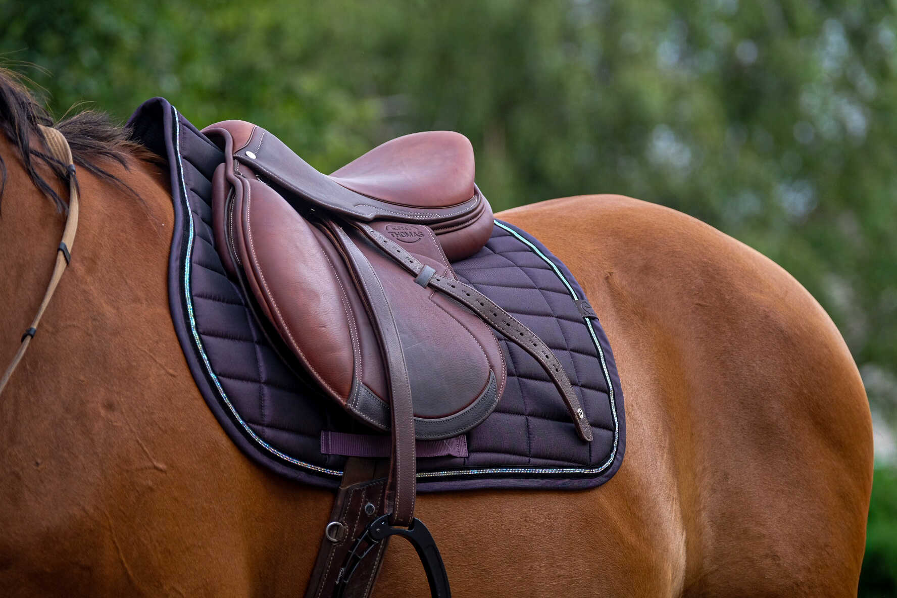 EQUITHEME Saddle pad - Domino - Image 13
