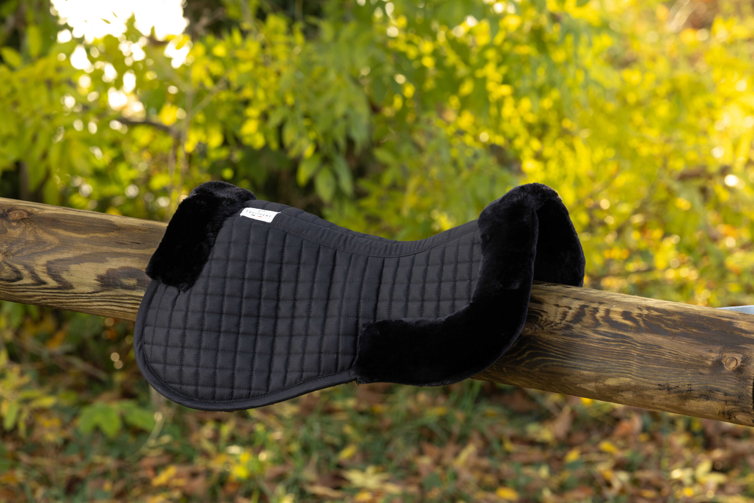 EQUITHÈME back protector - Teddy