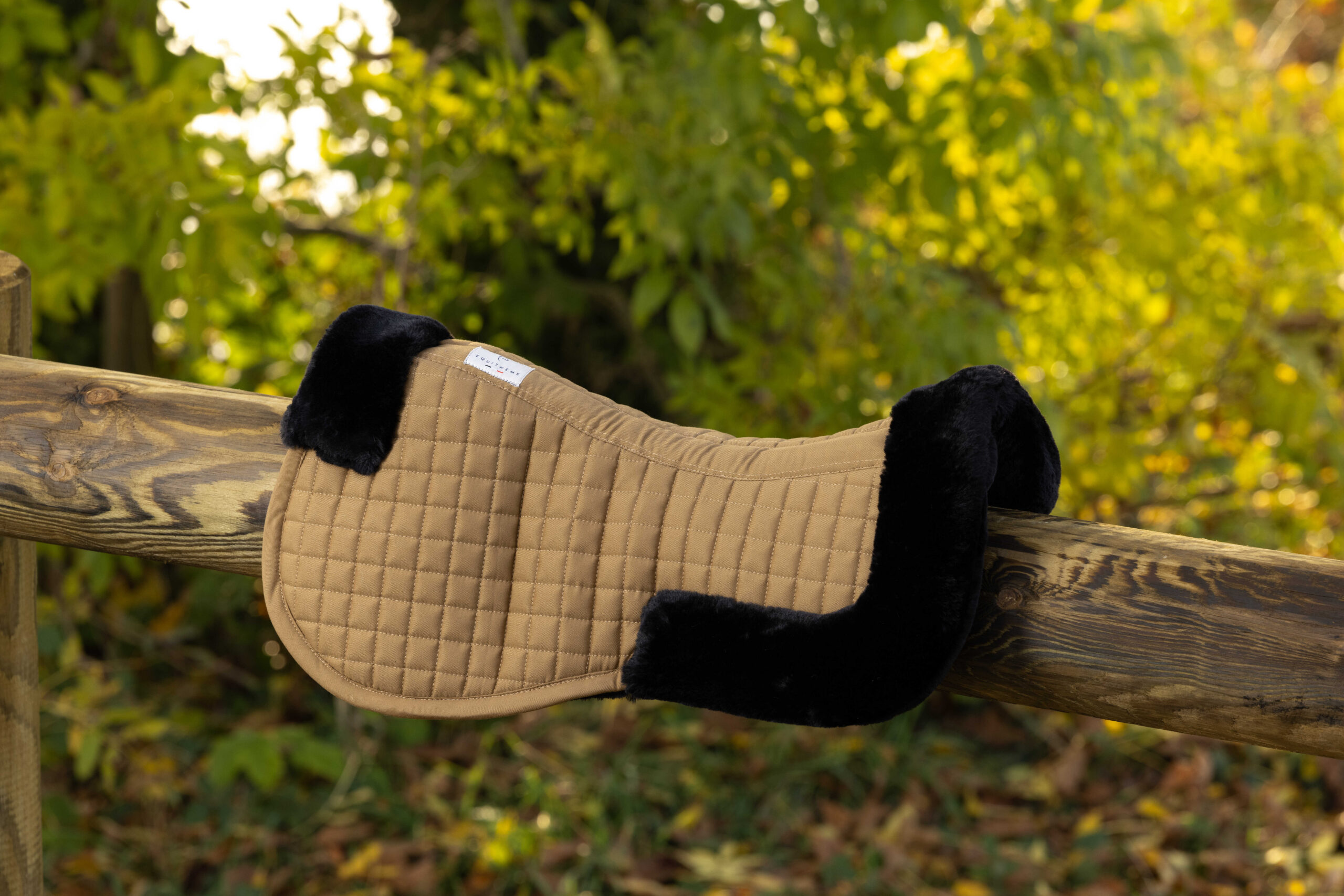 EQUITHÈME back protector - Teddy - Image 6