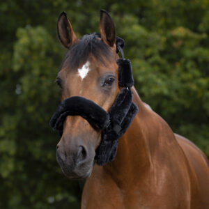 EQUITHÈME "Teddy" halter accessory set